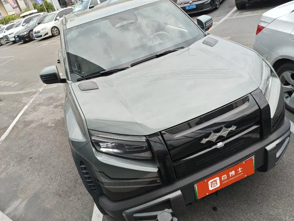 BYD Leopard Titanium 3