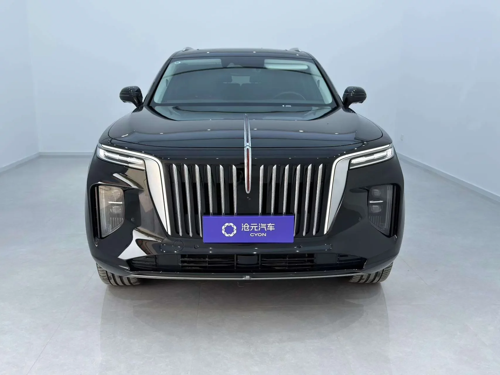Hongqi E-HS9