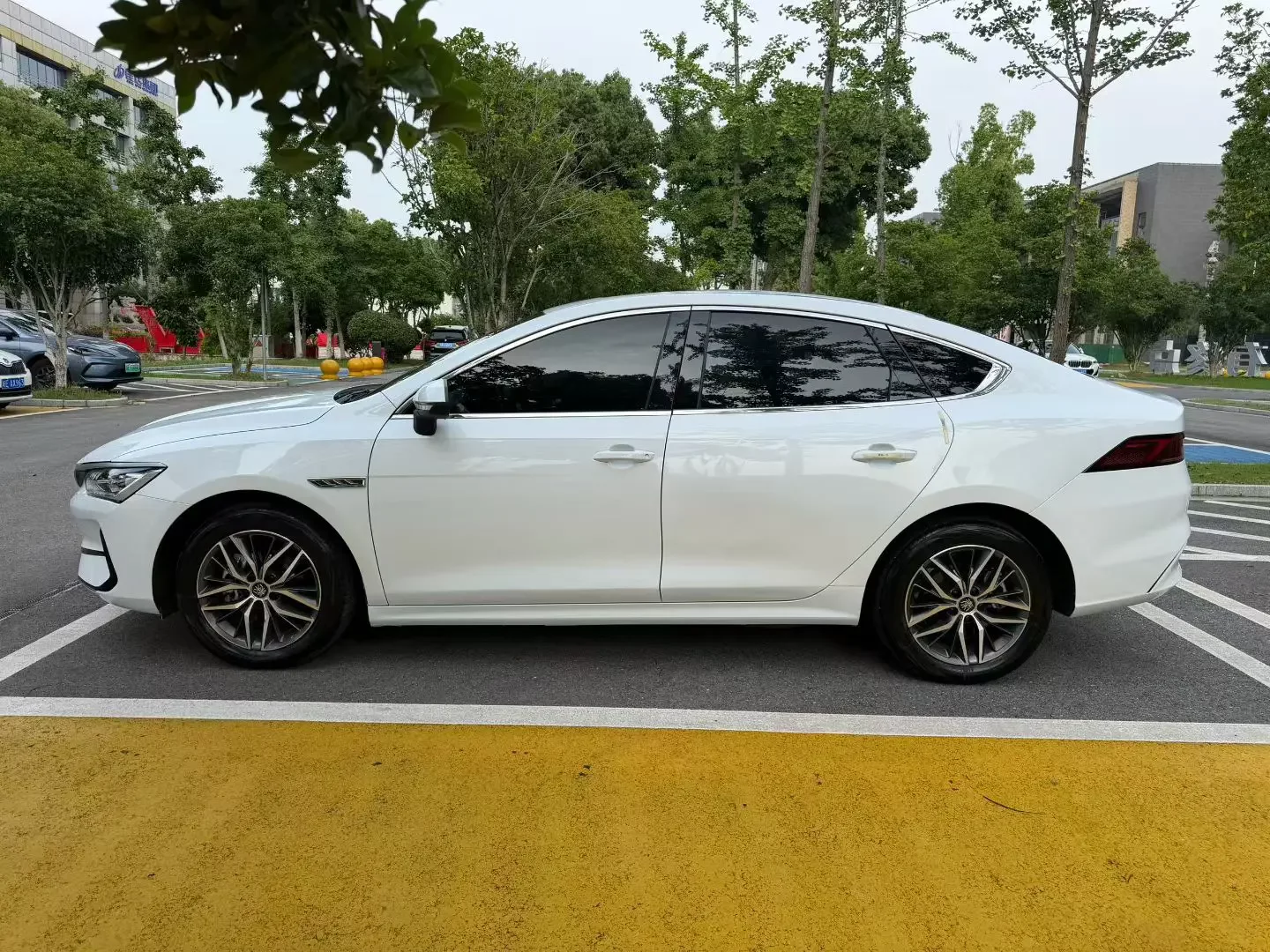 BYD Qin PLUS EV