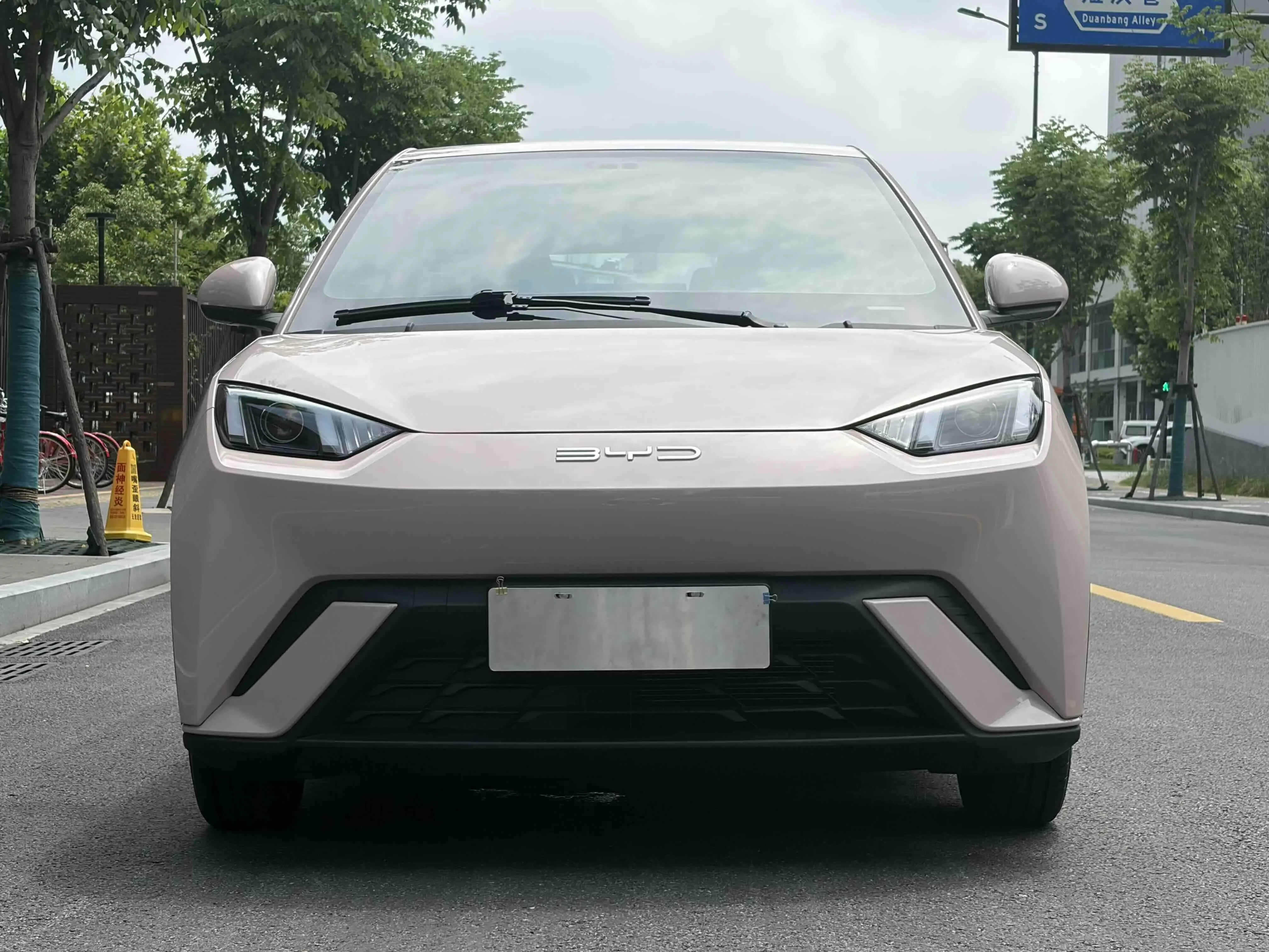 BYD seagull