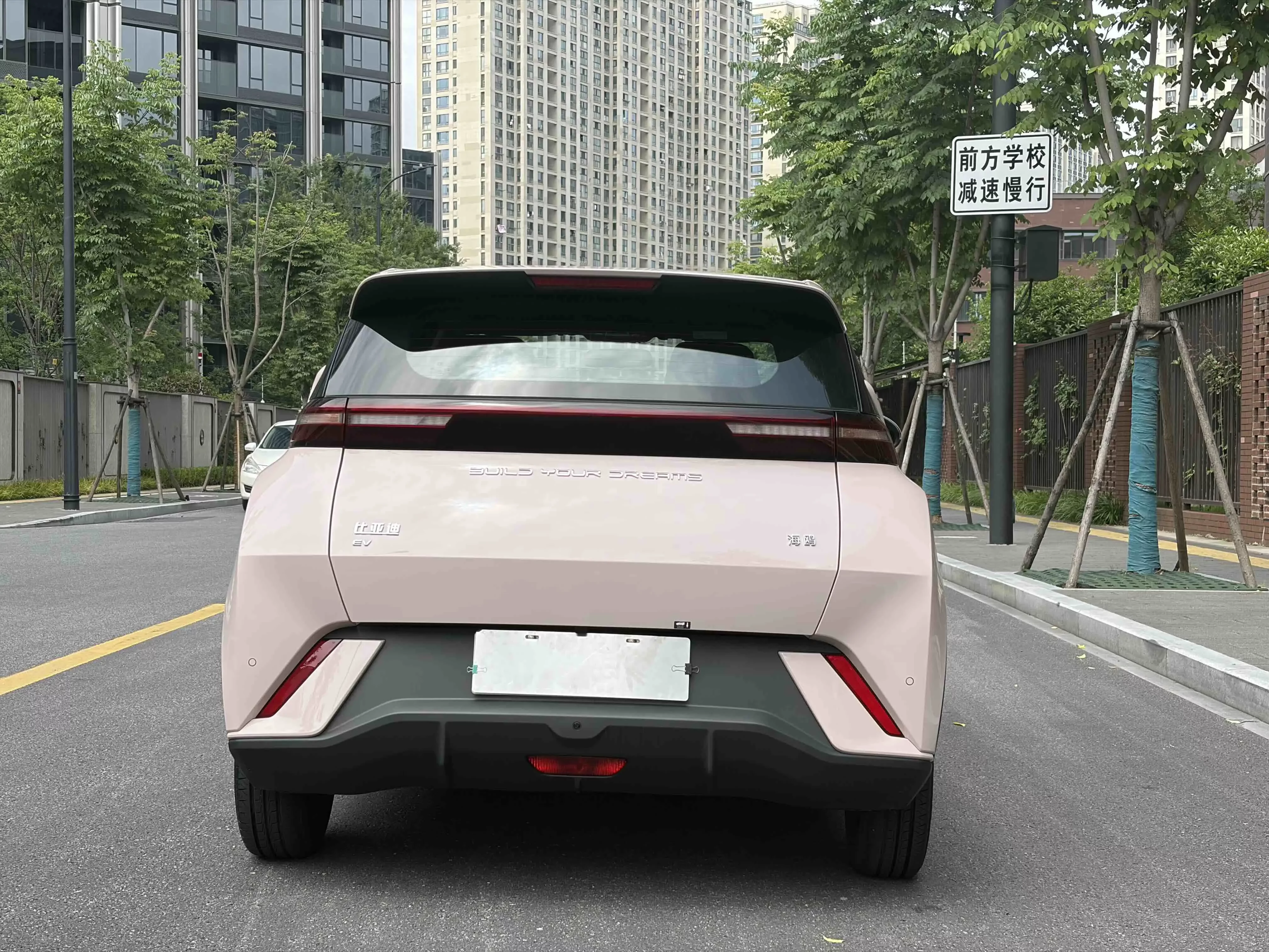 BYD seagull