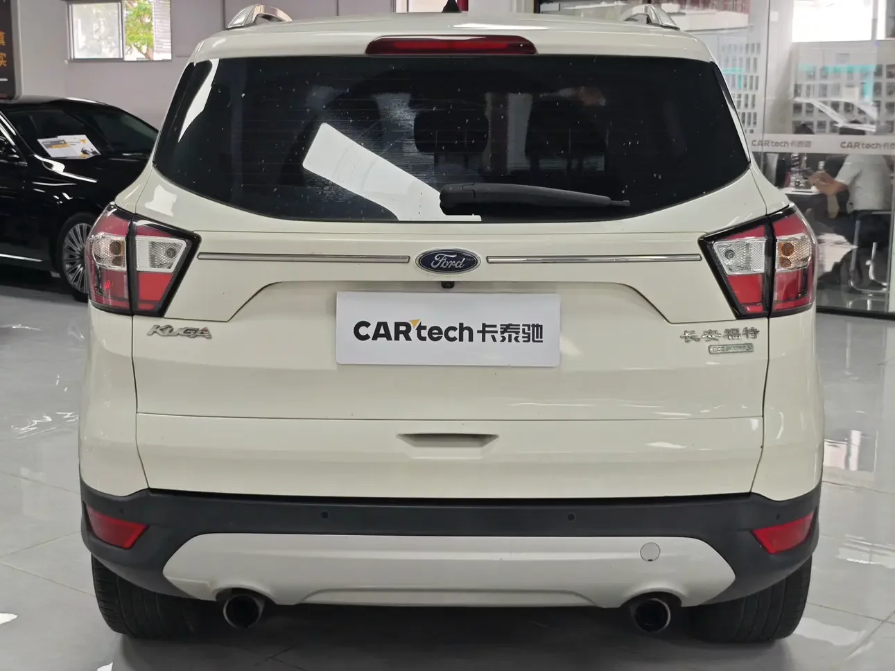 Ford wing tiger