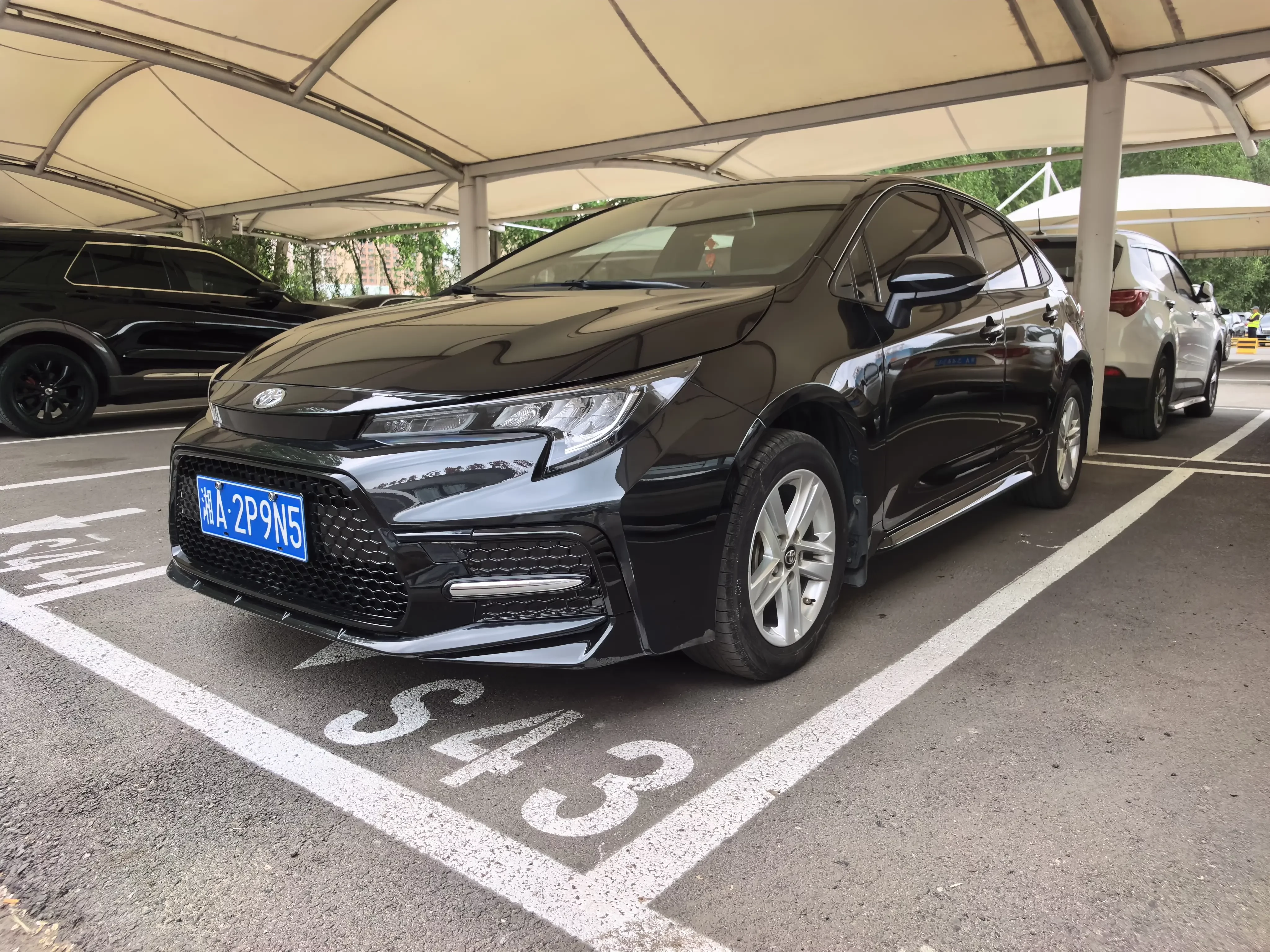 Toyota Levin