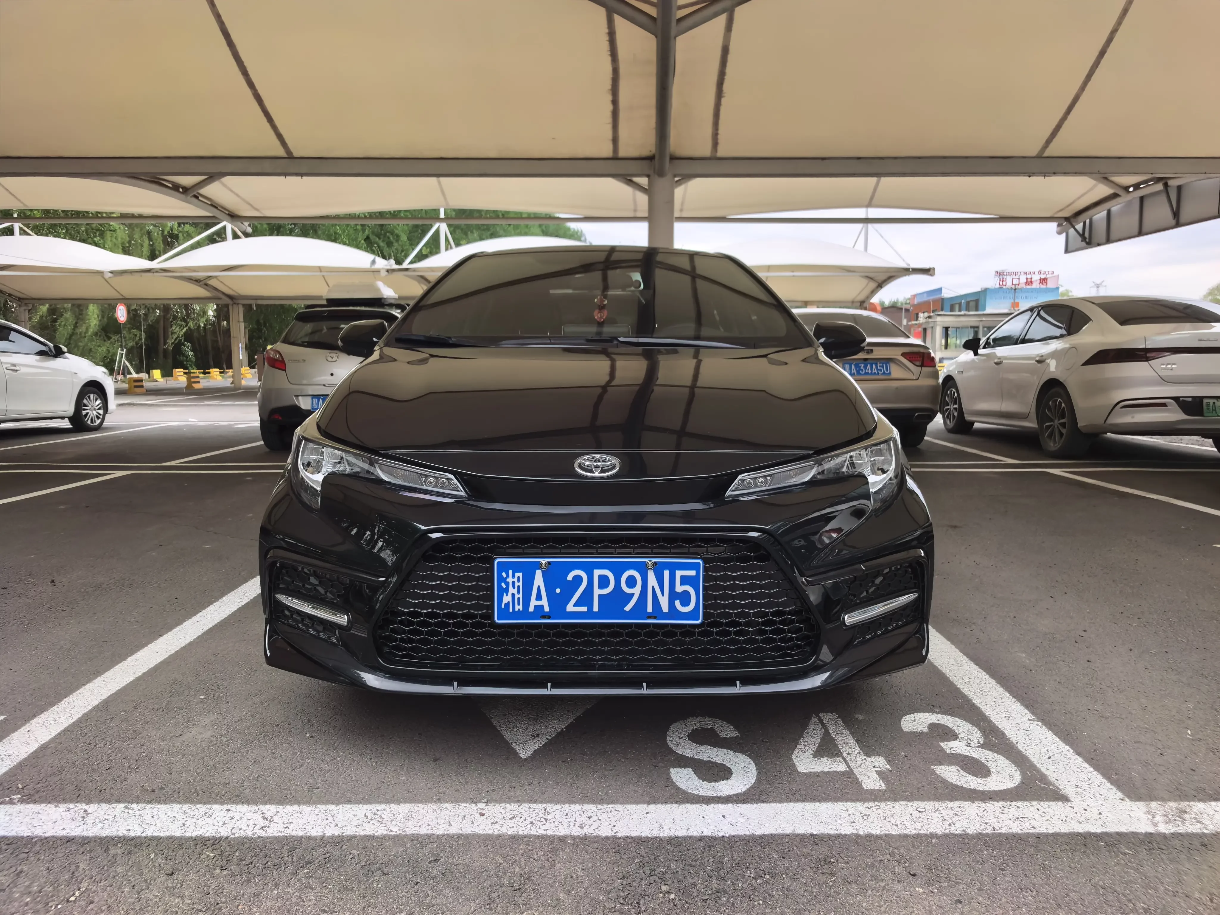 Toyota Levin