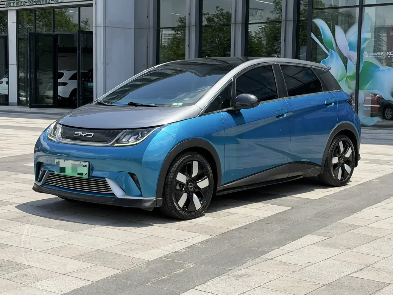 BYD dolphin