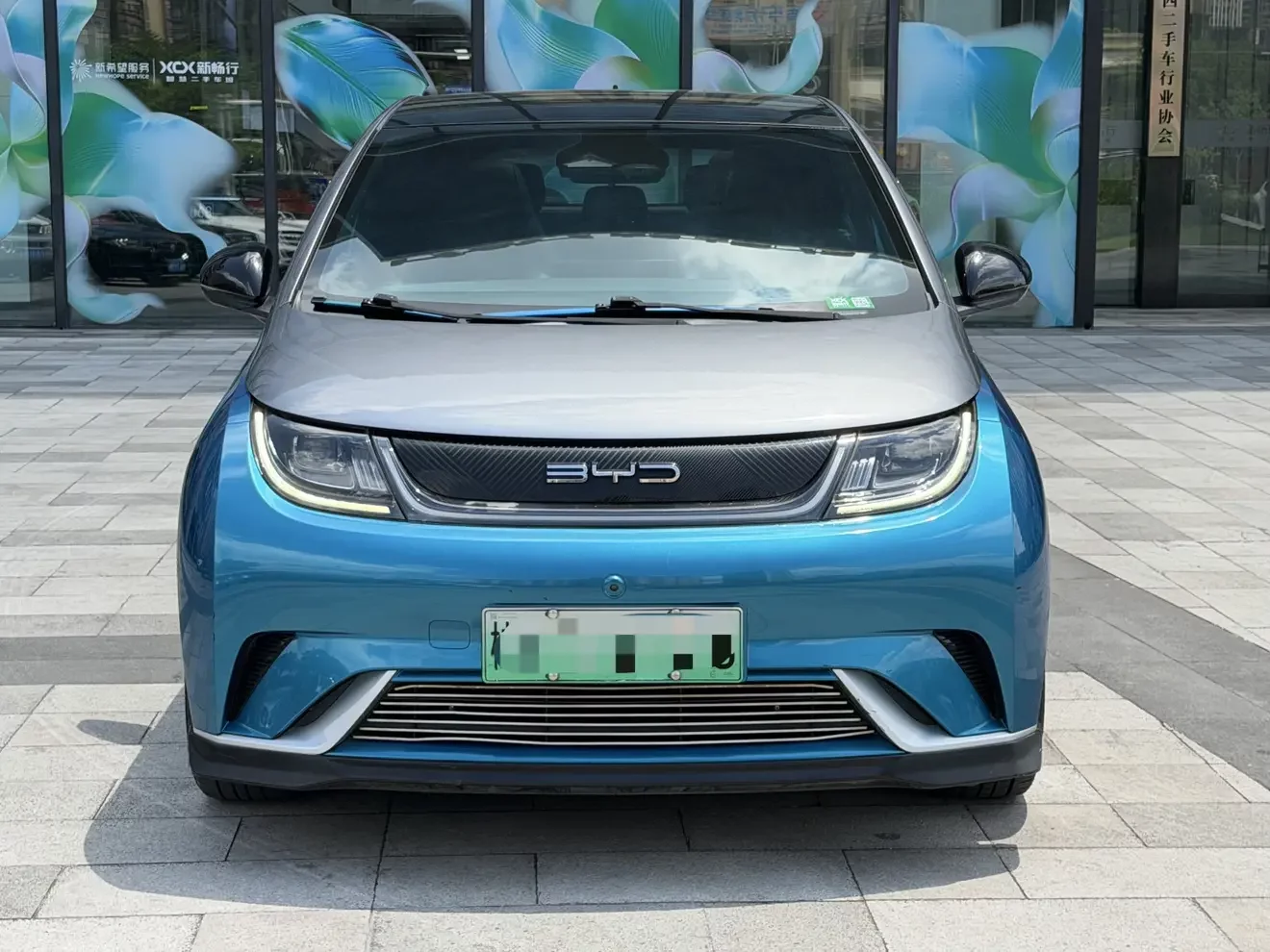 BYD dolphin