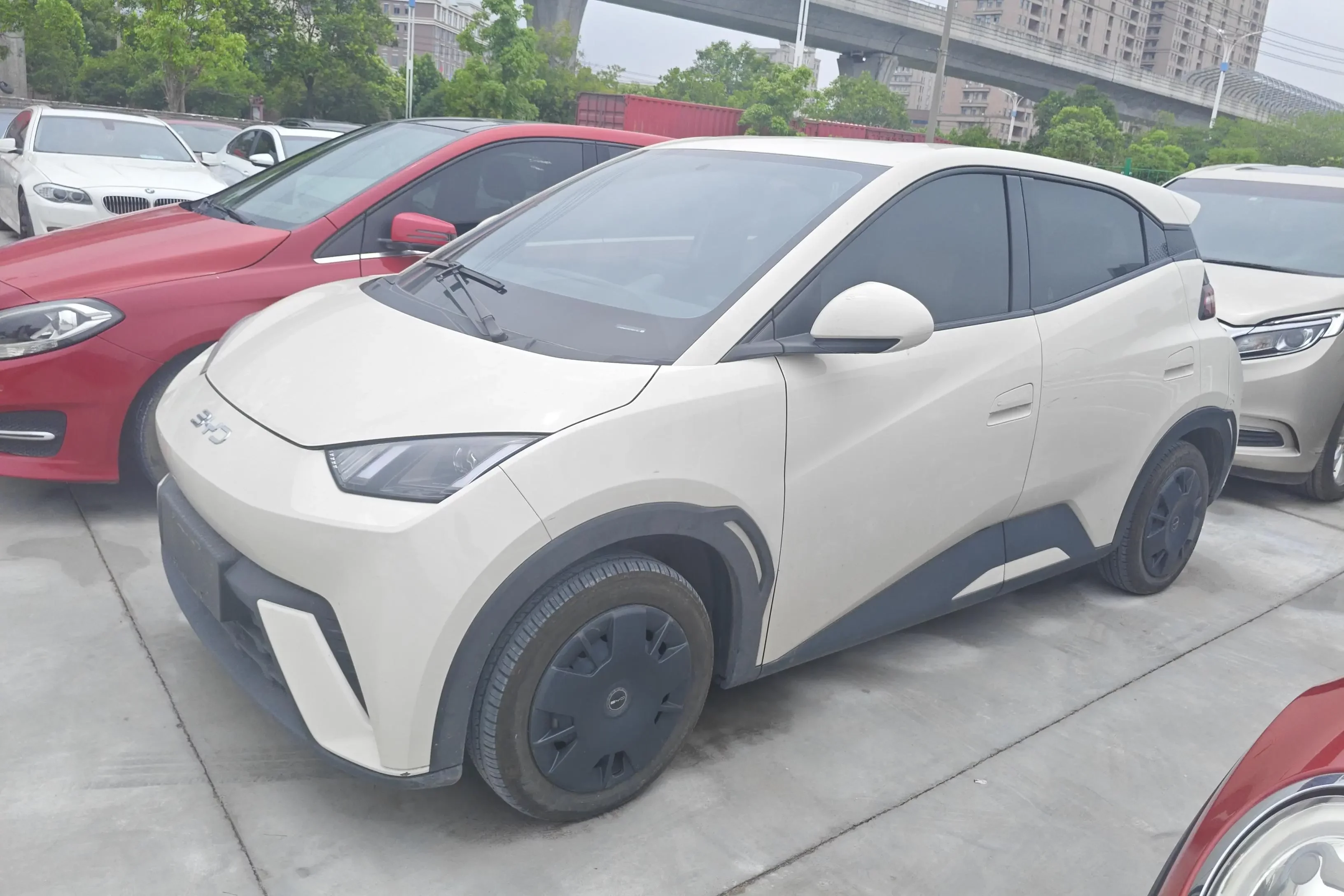 BYD seagull
