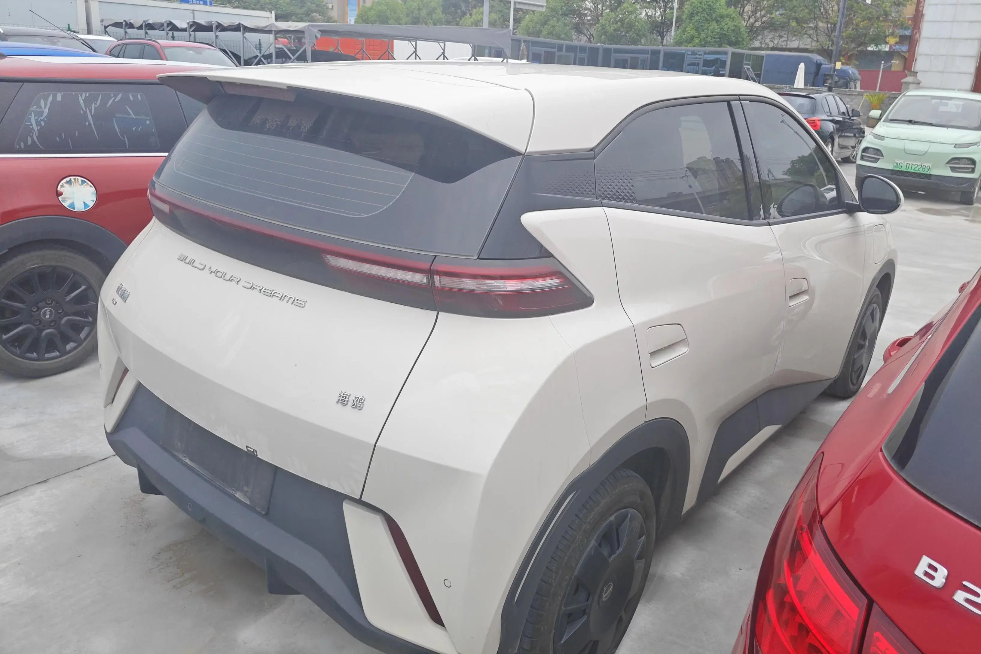BYD seagull