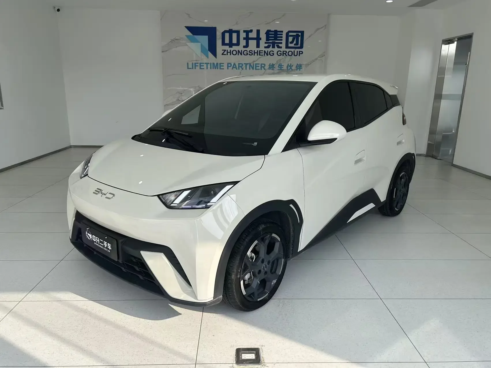 BYD seagull