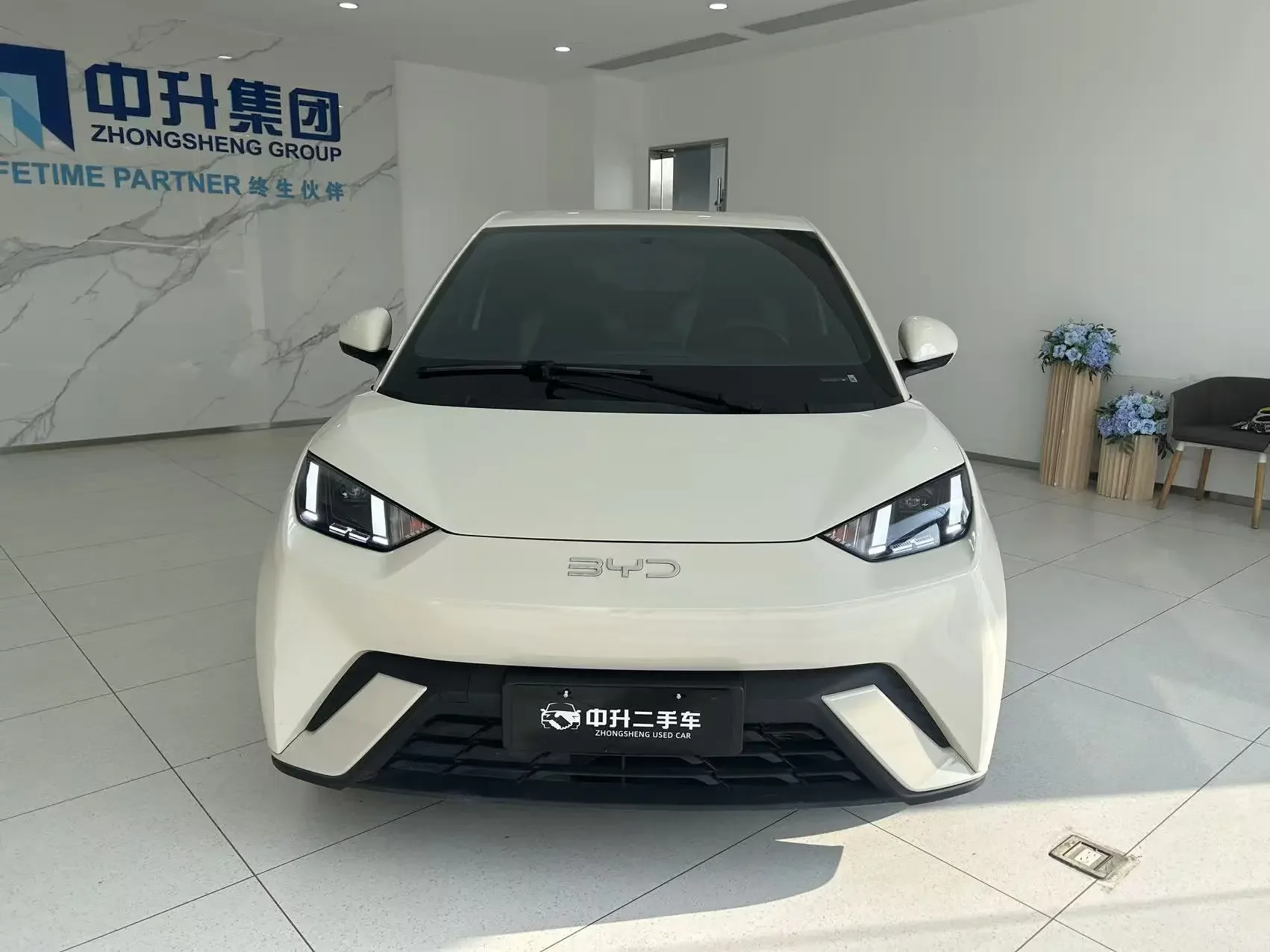 BYD seagull