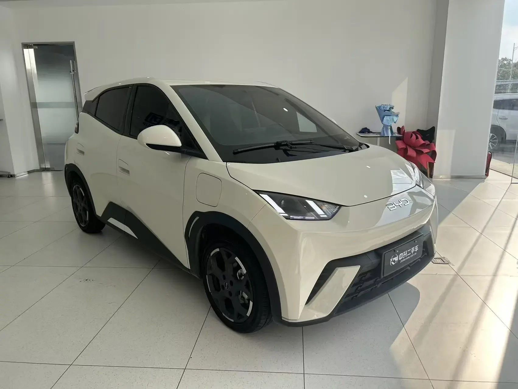 BYD seagull