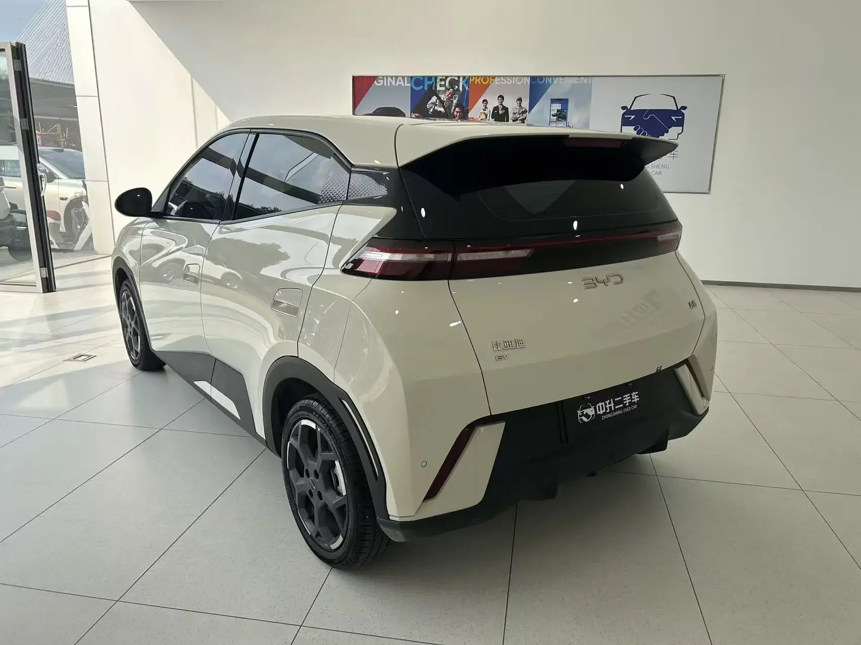 BYD seagull
