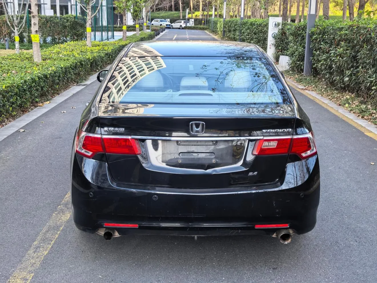 Honda Sibo Rui