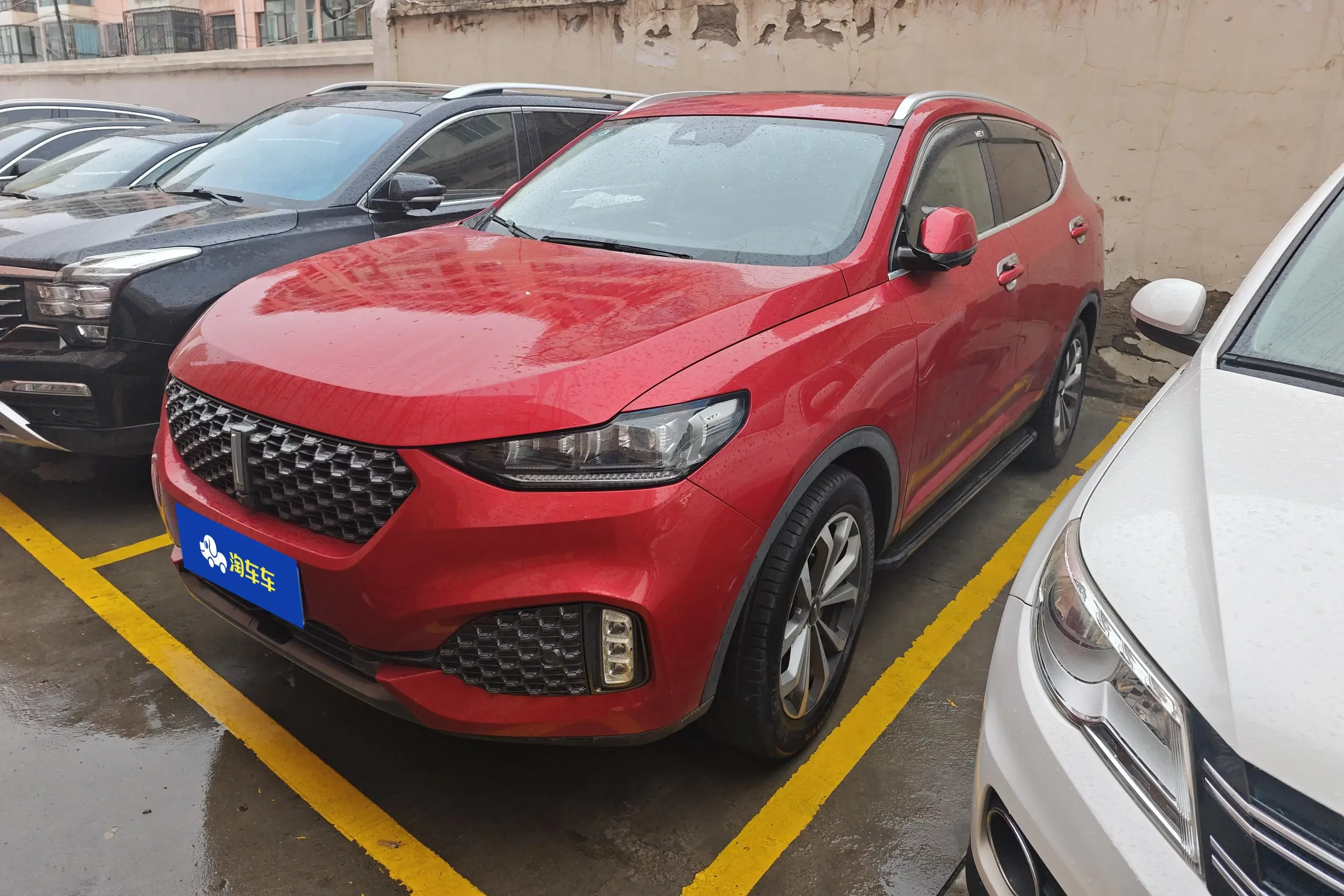 Wey Wei brand VV6