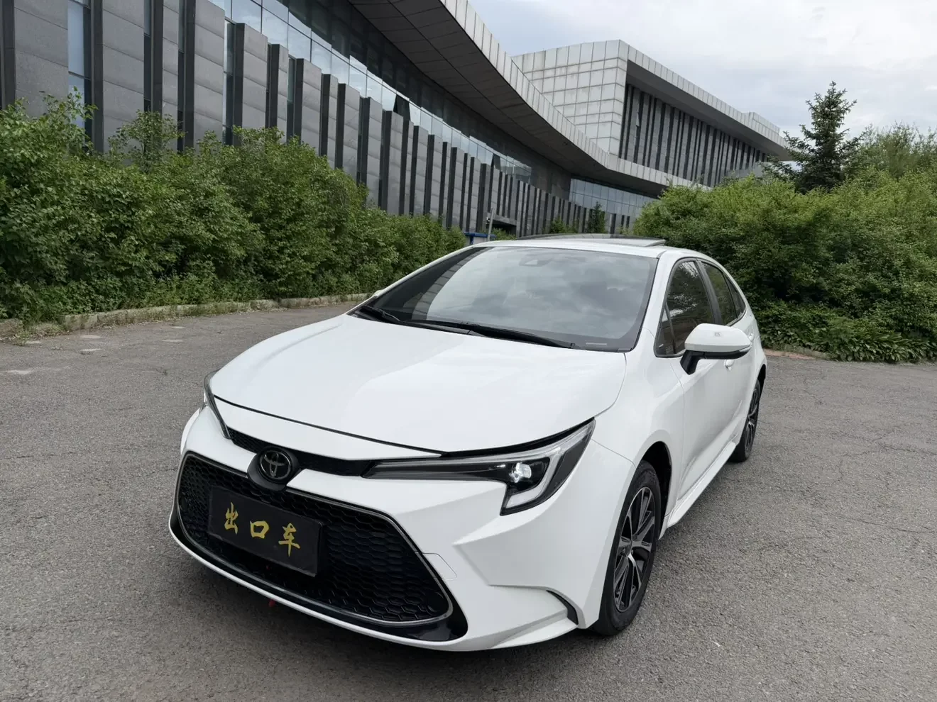 Toyota Levin