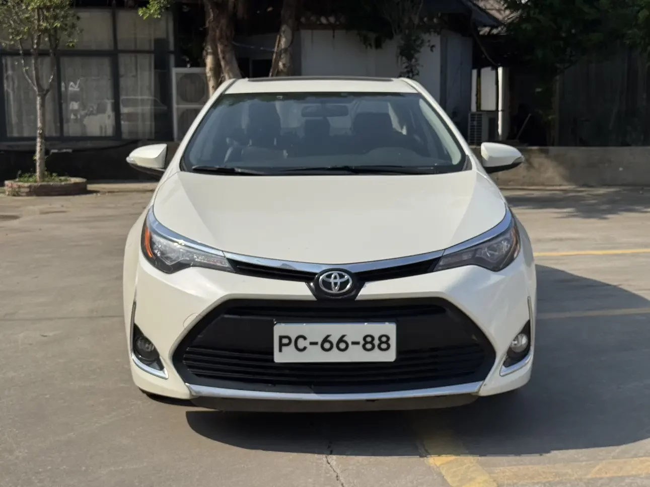 Toyota Levin