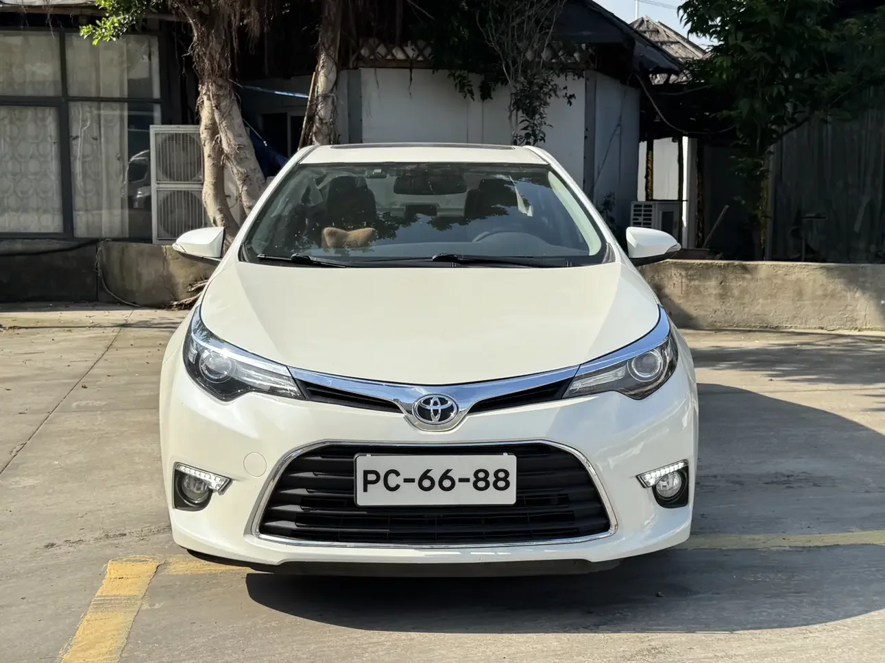 Toyota Levin
