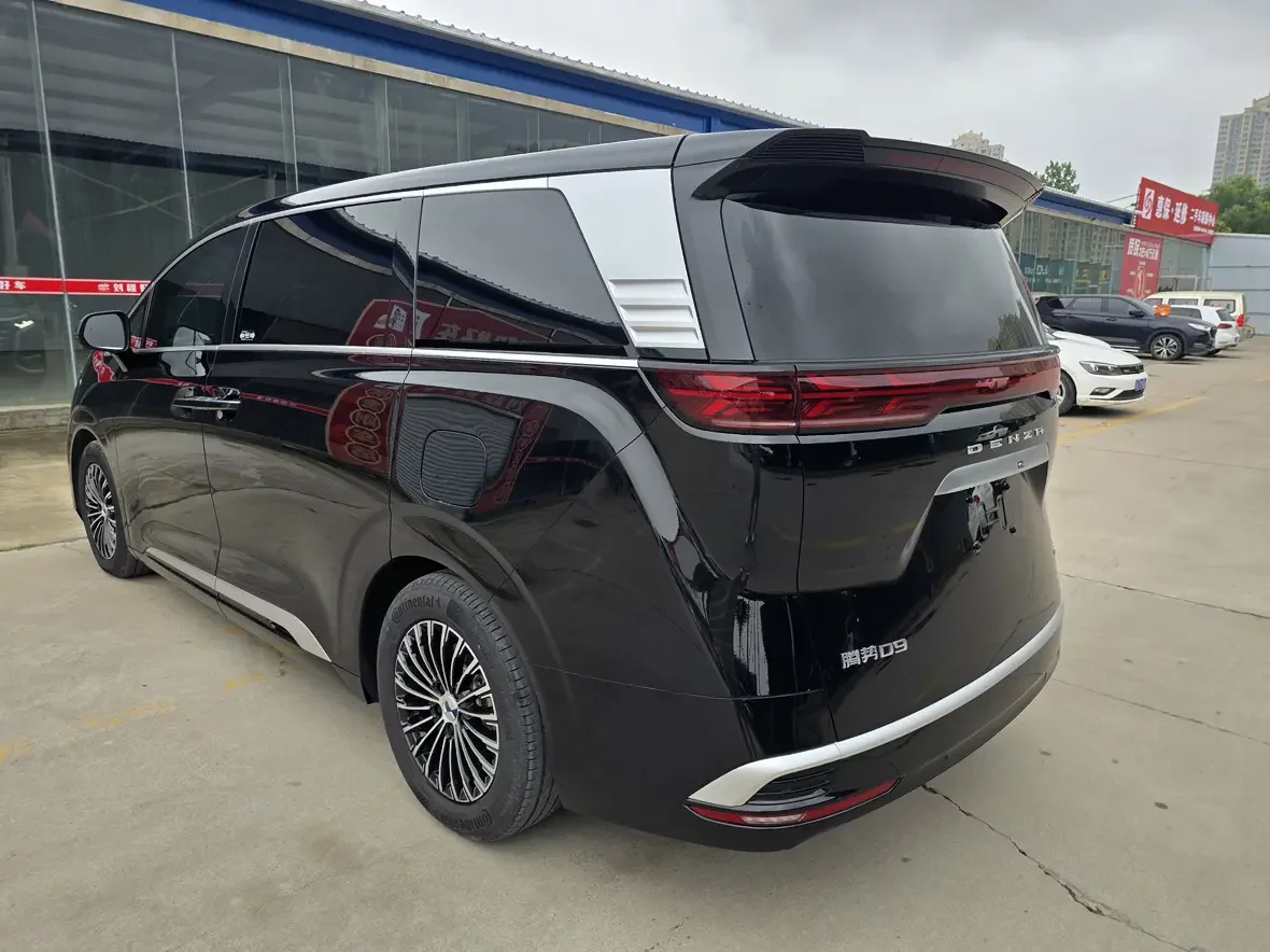 Denza D9 DM
