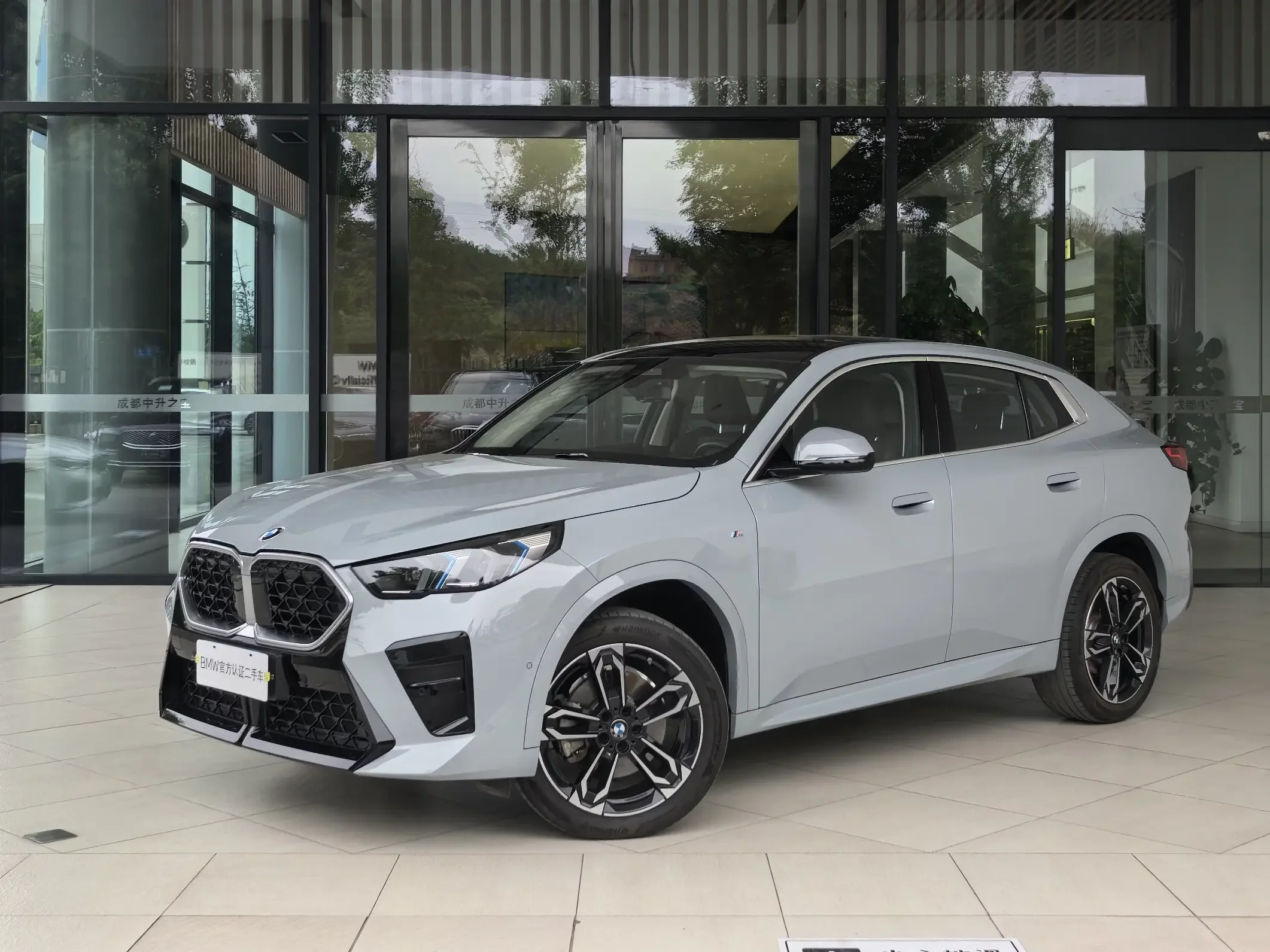 BMW X2