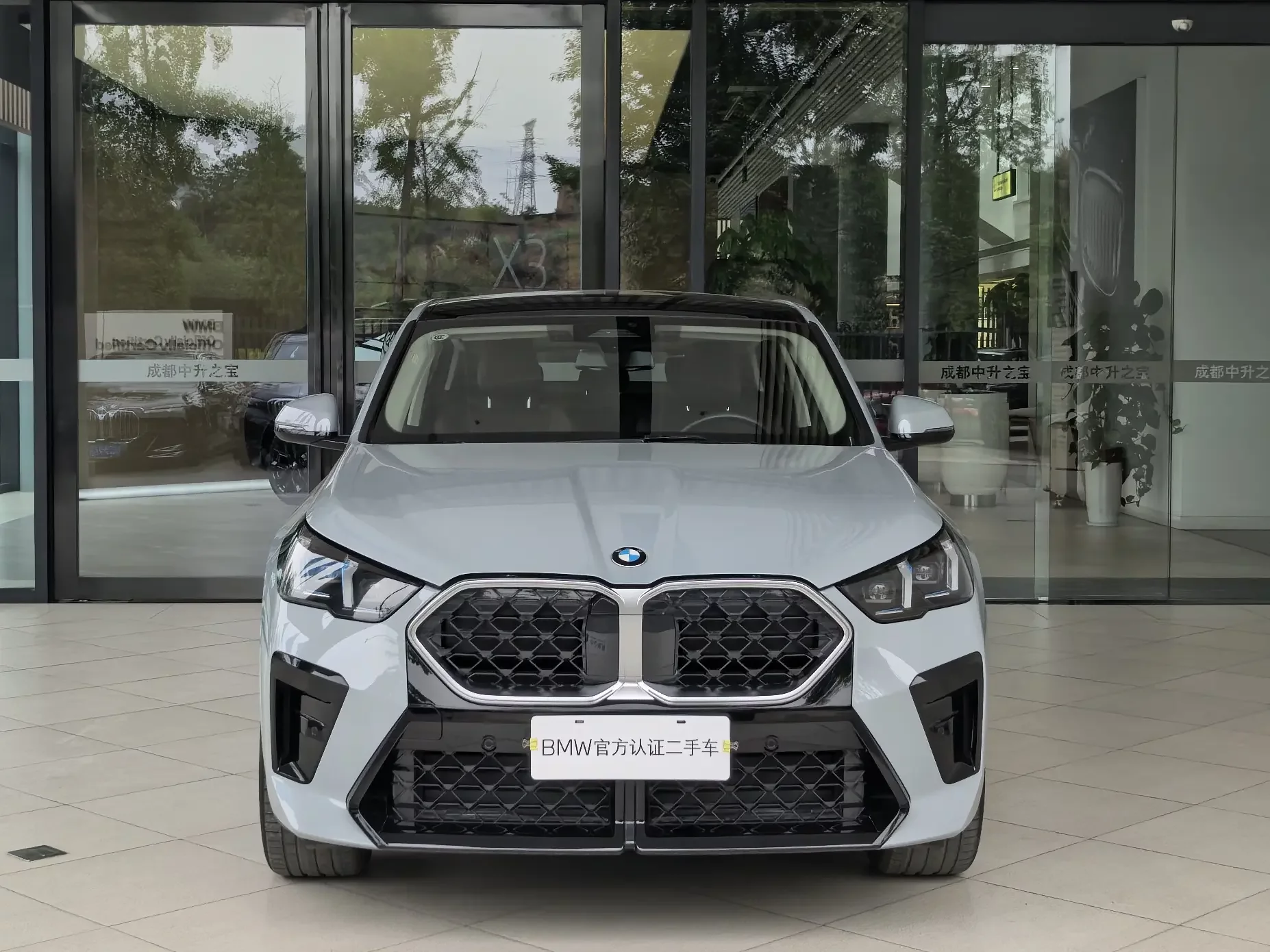 BMW X2