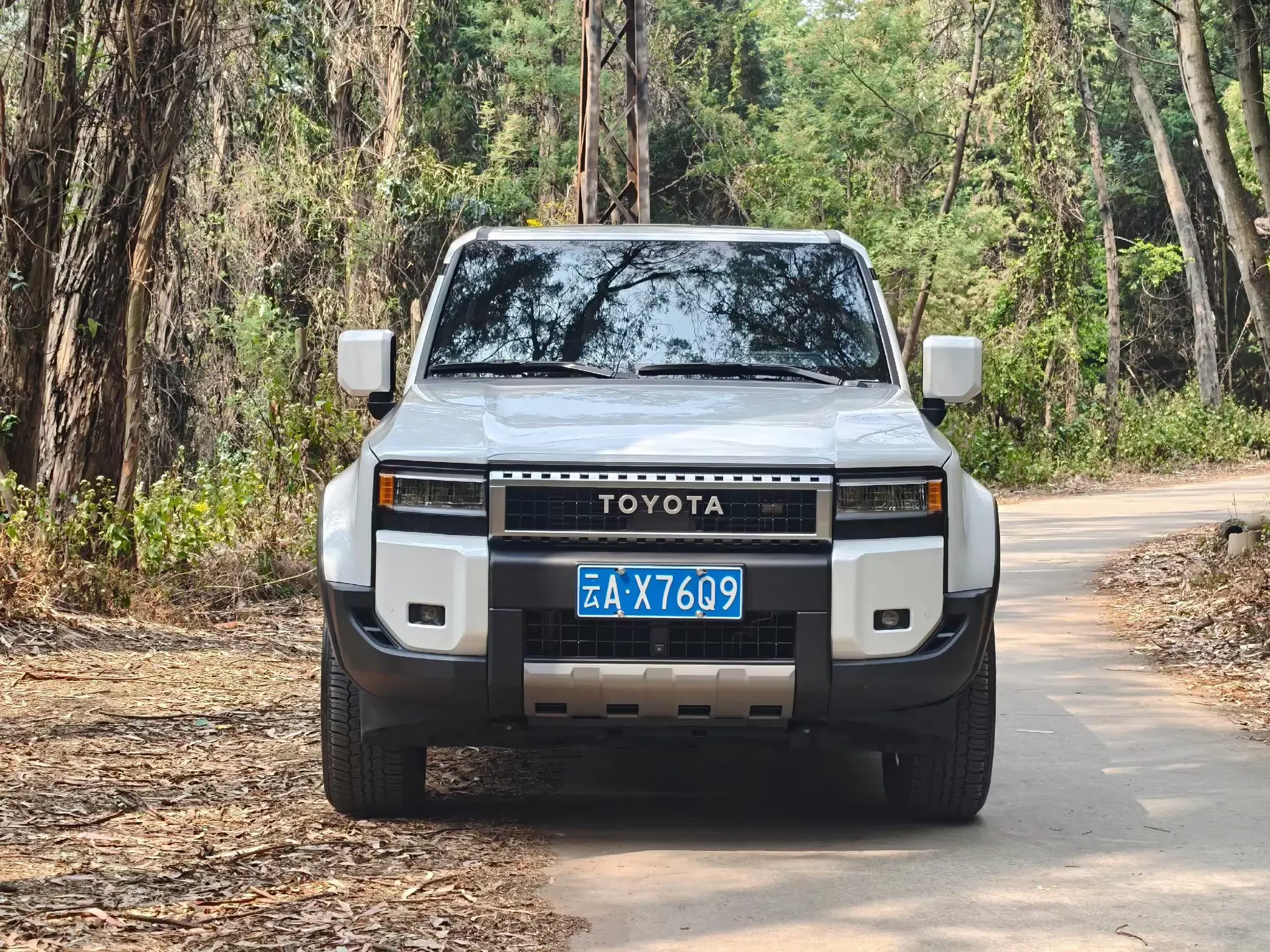 Toyota prado