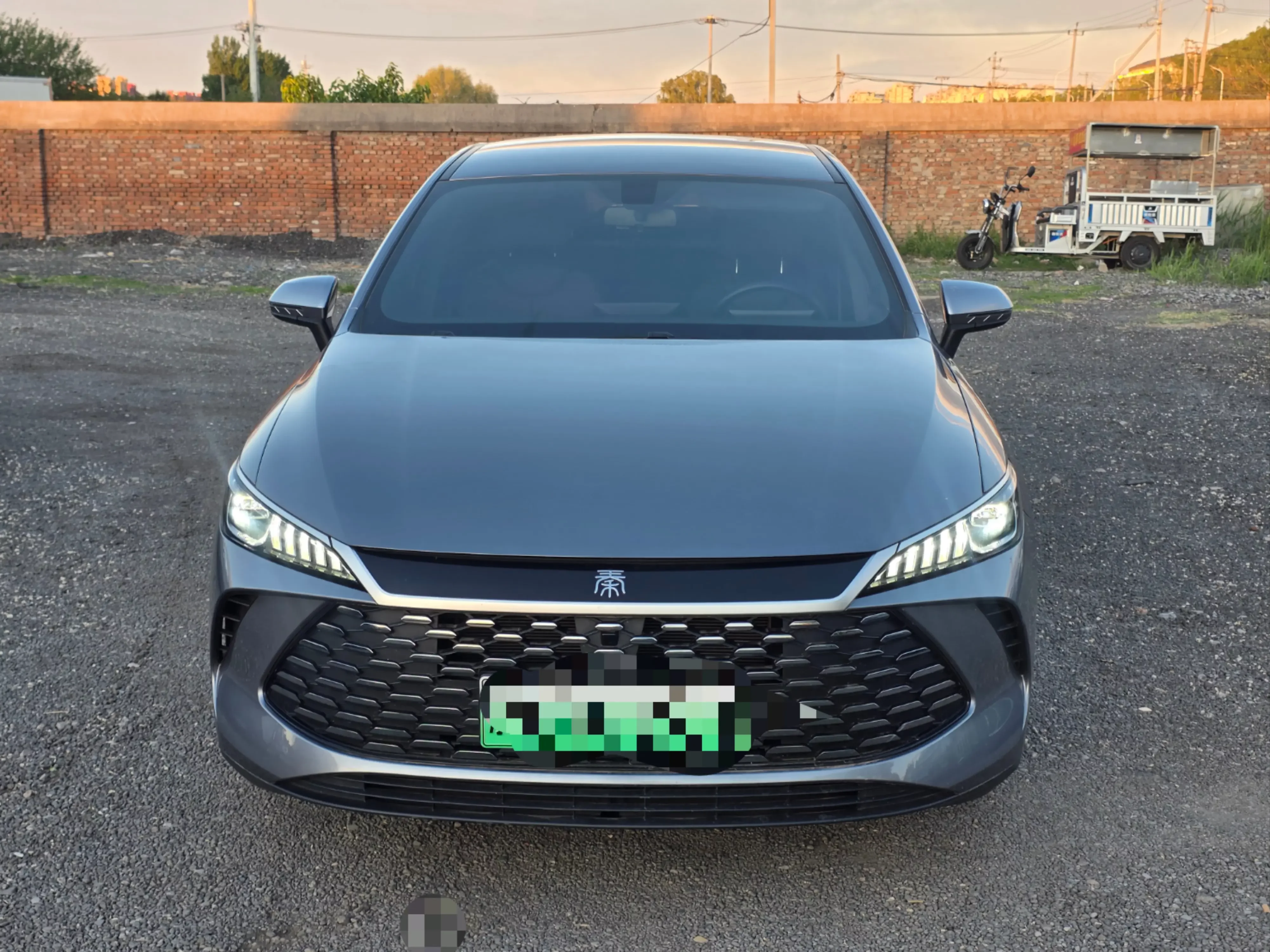 BYD Qin PLUS DM