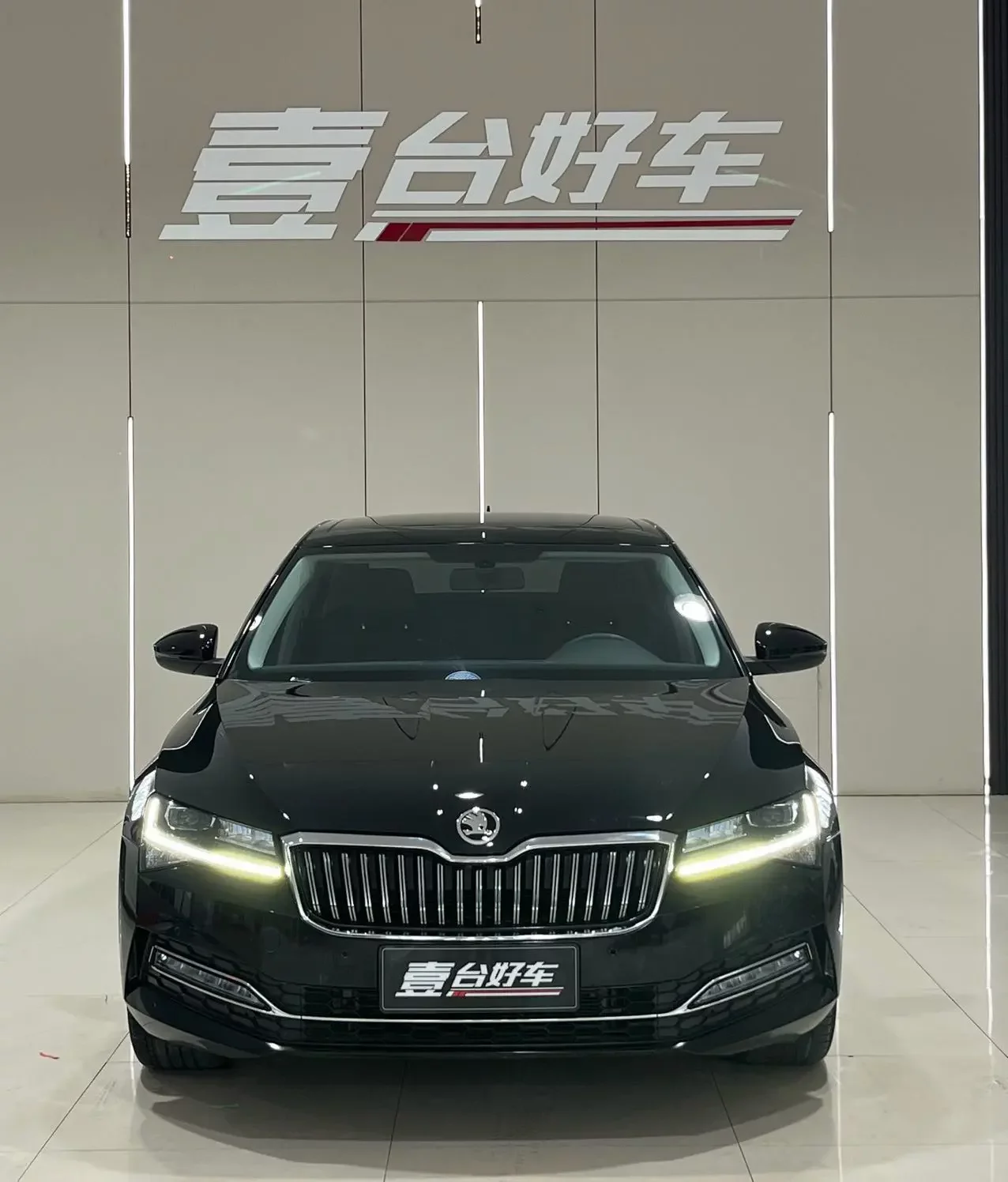 Skoda Speedy