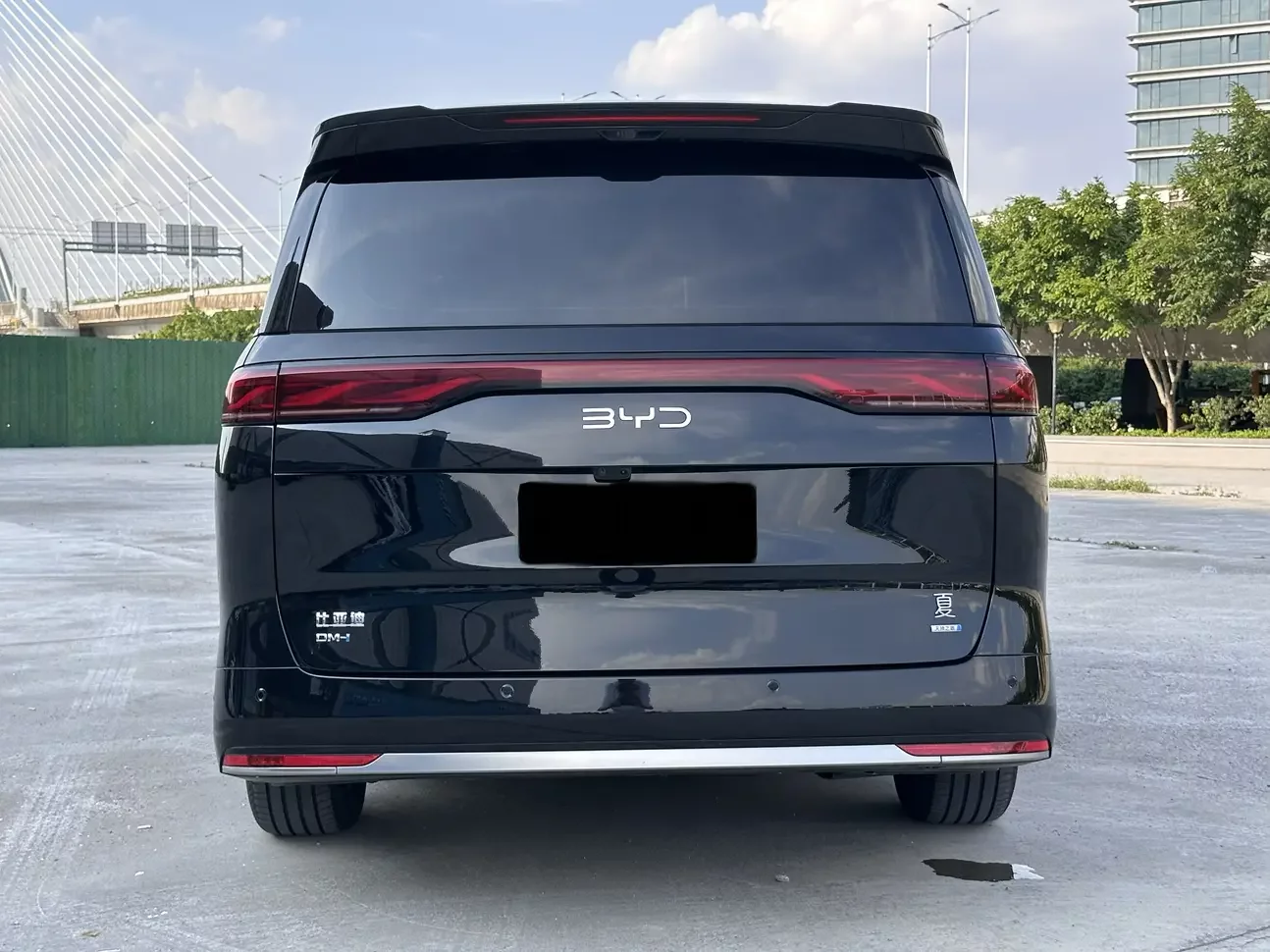 BYD summer