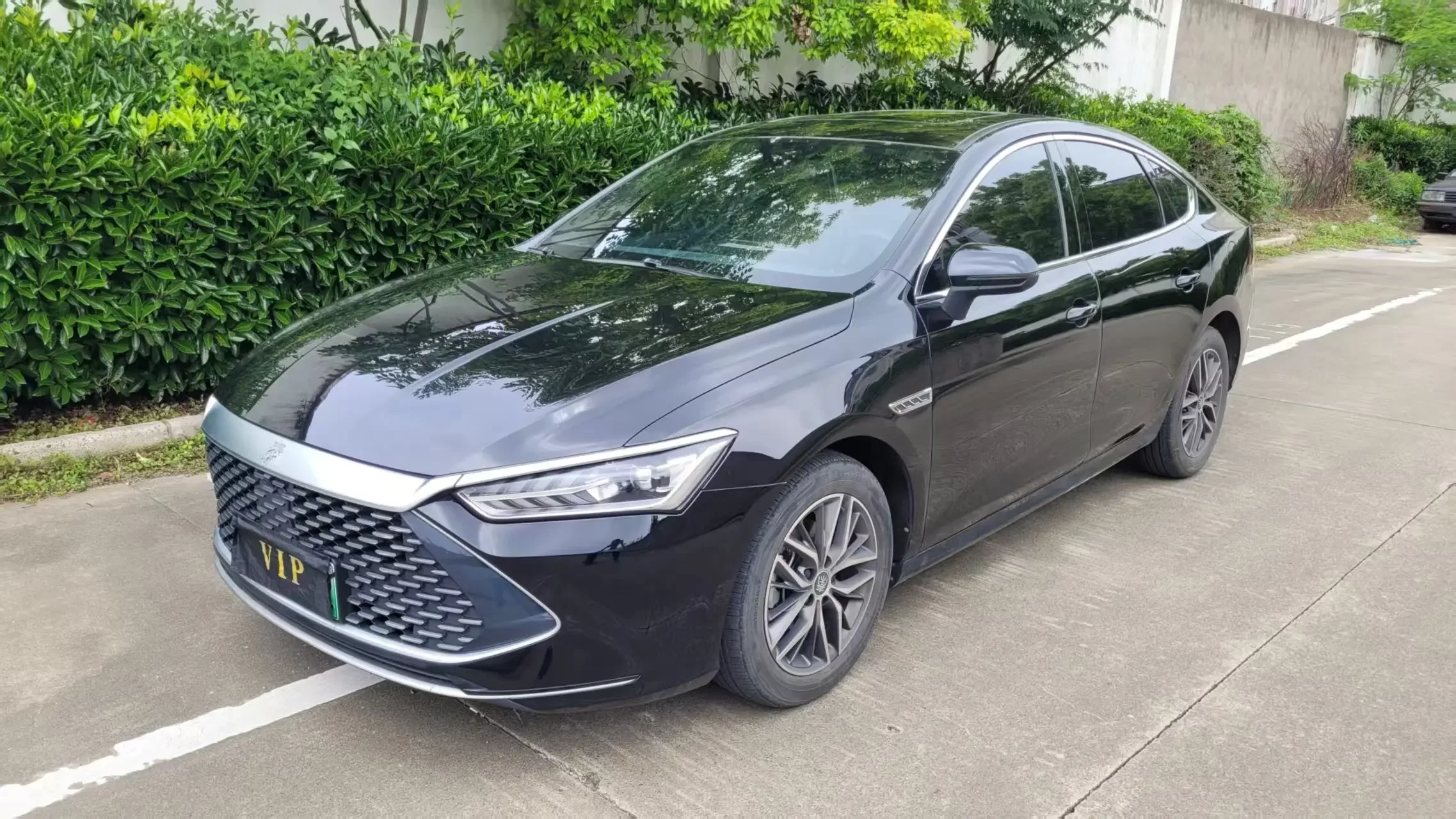 BYD Qin PLUS DM
