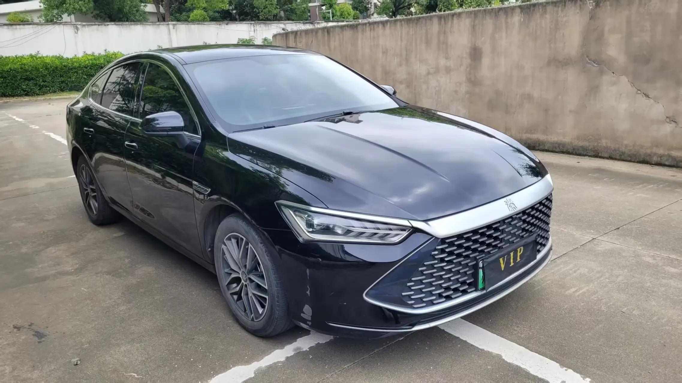 BYD Qin PLUS DM
