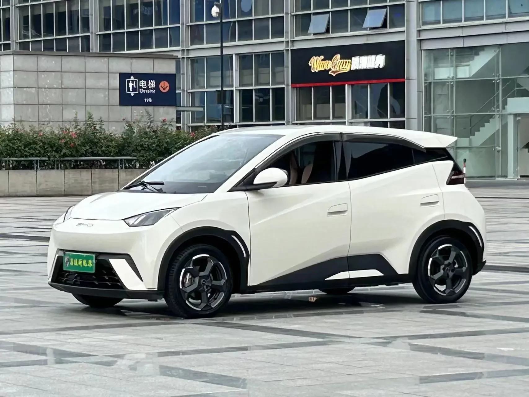 BYD seagull