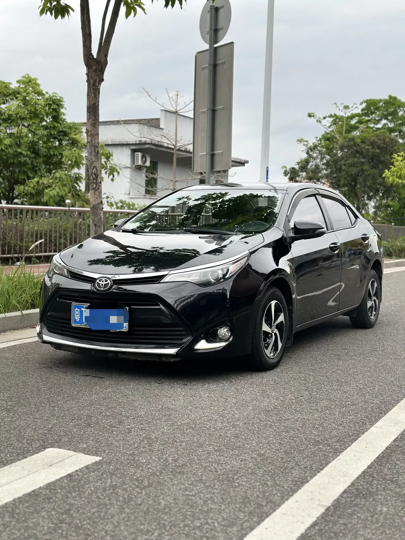 Toyota Levin