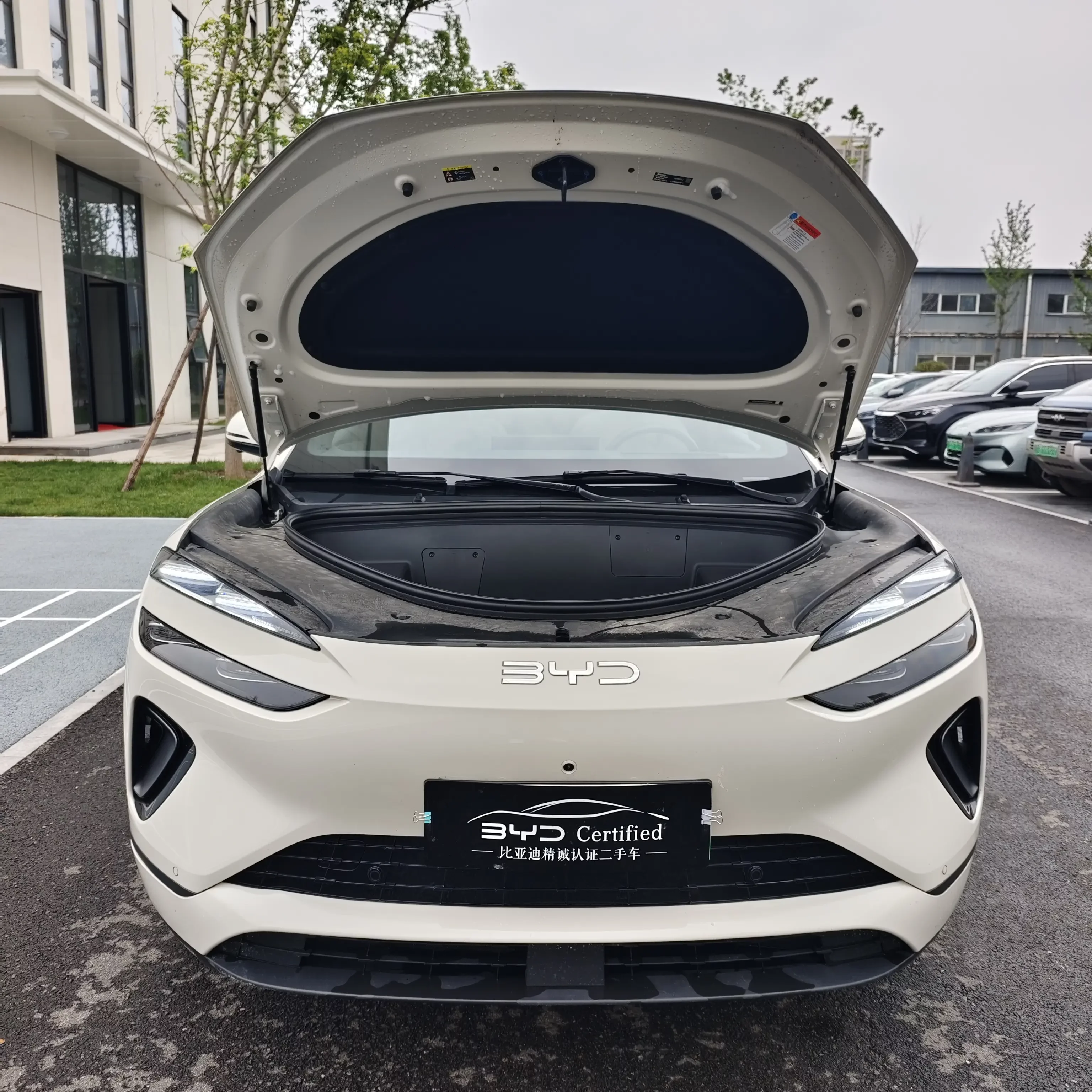 BYD Sea Lion 06EV