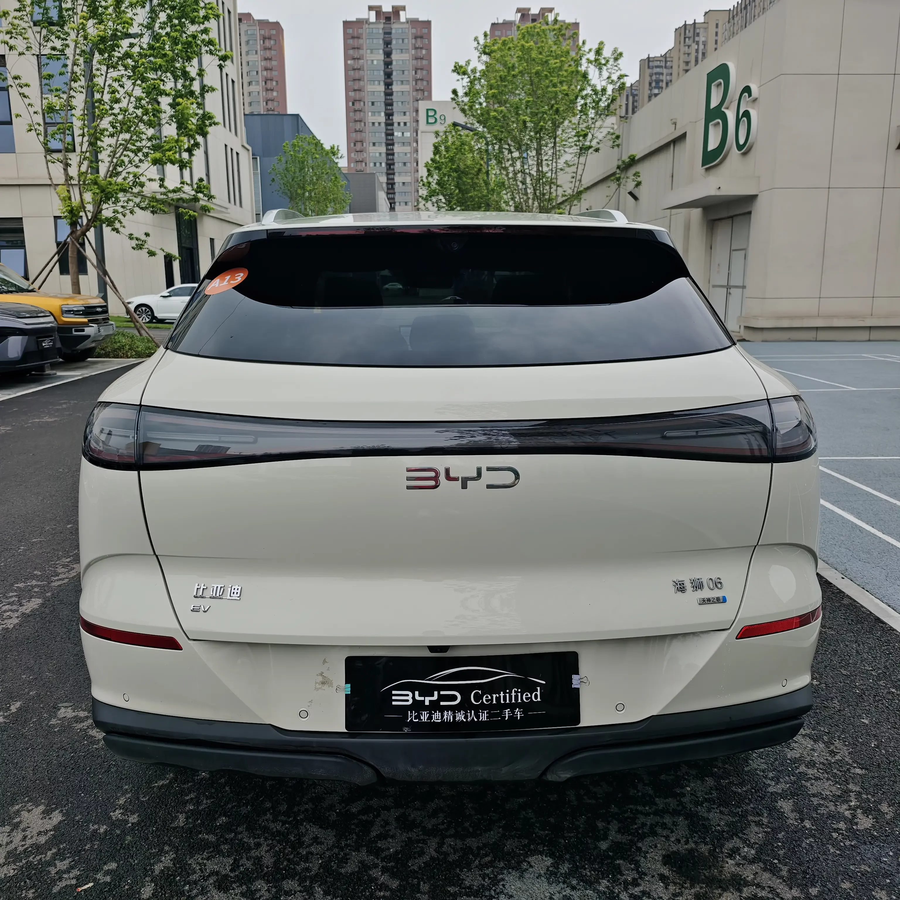 BYD Sea Lion 06EV