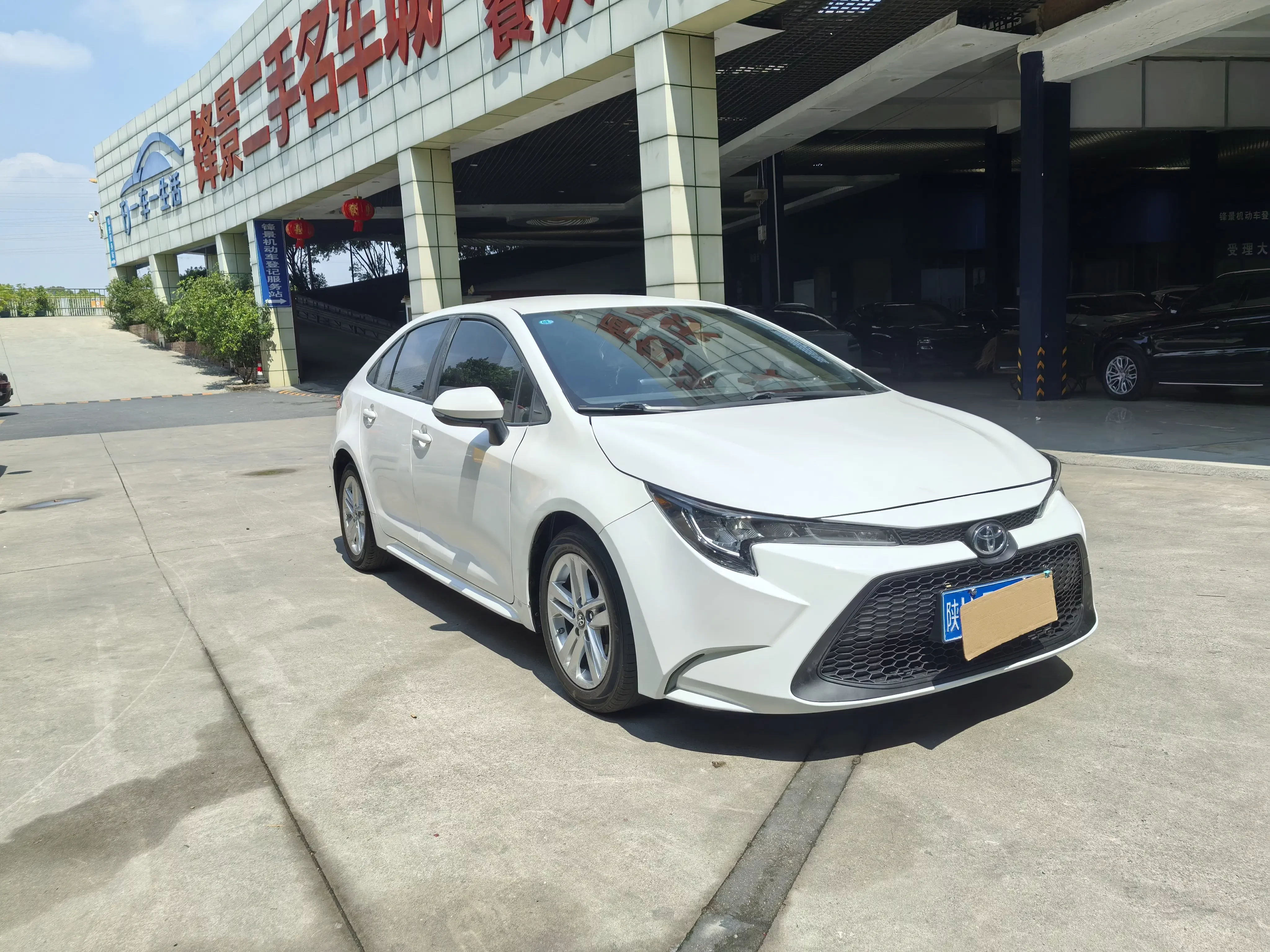 Toyota Levin