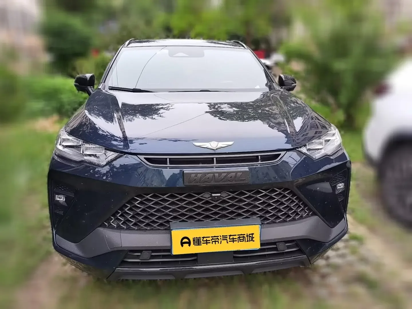 Haval H6S  из Китая