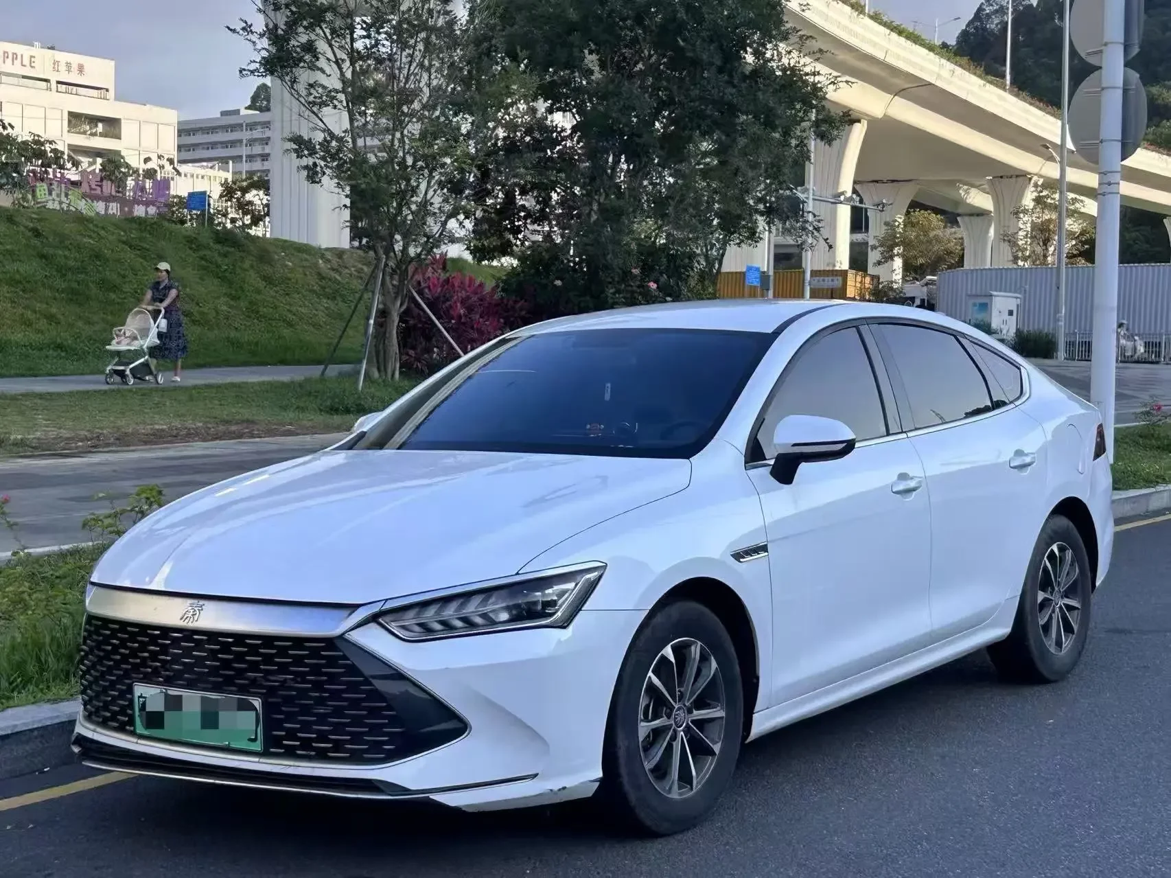 BYD Qin PLUS DM