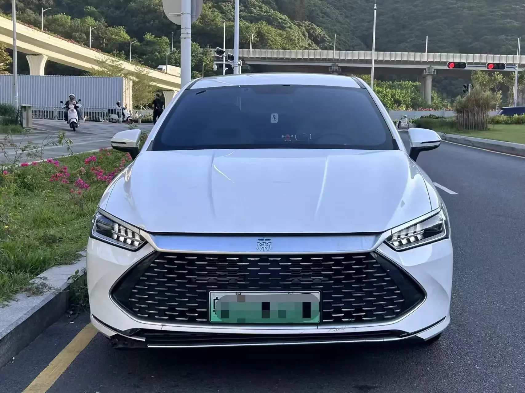 BYD Qin PLUS DM