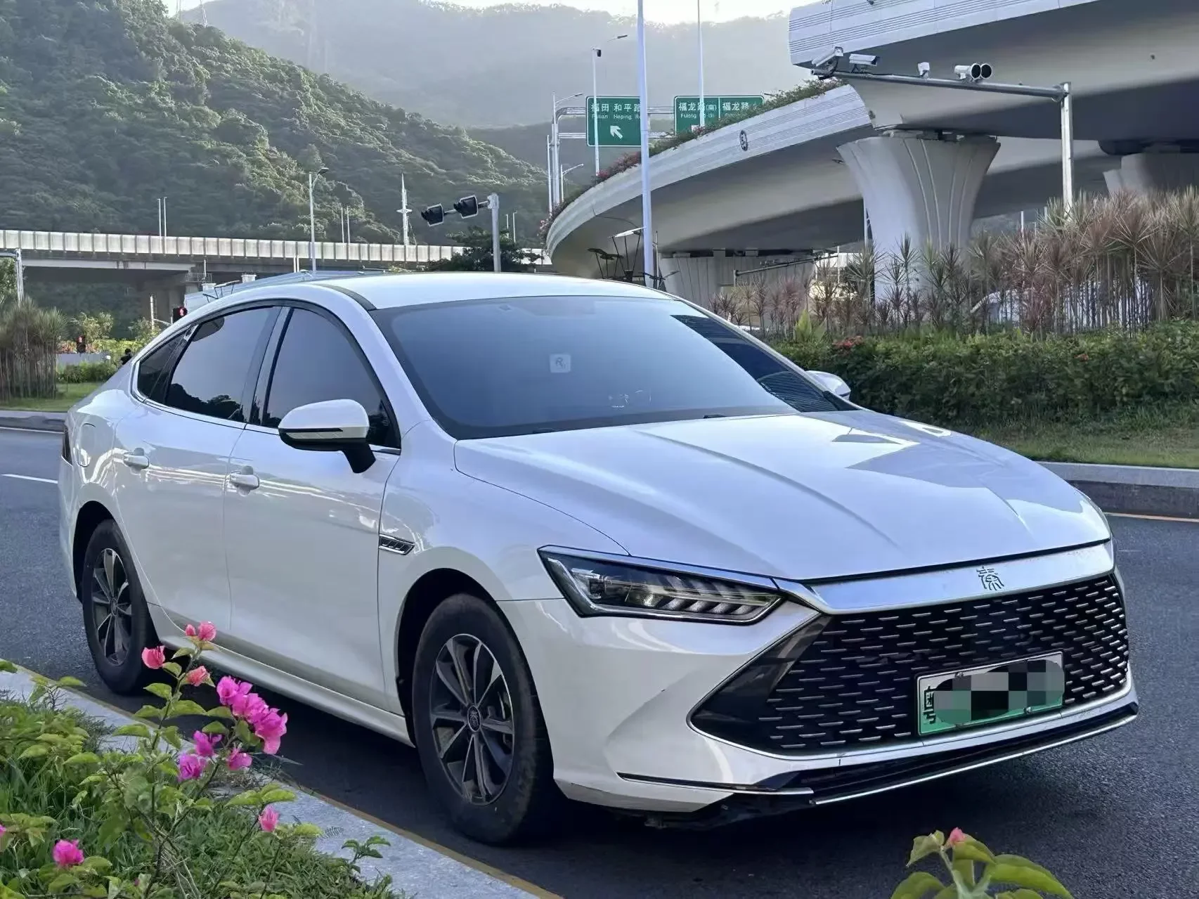 BYD Qin PLUS DM