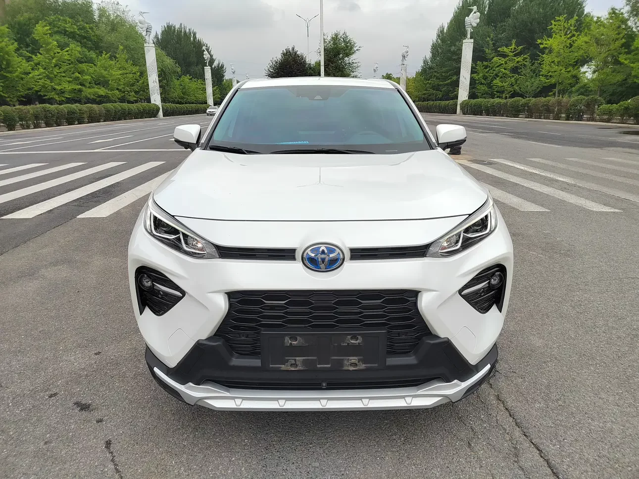 Toyota Willanda
