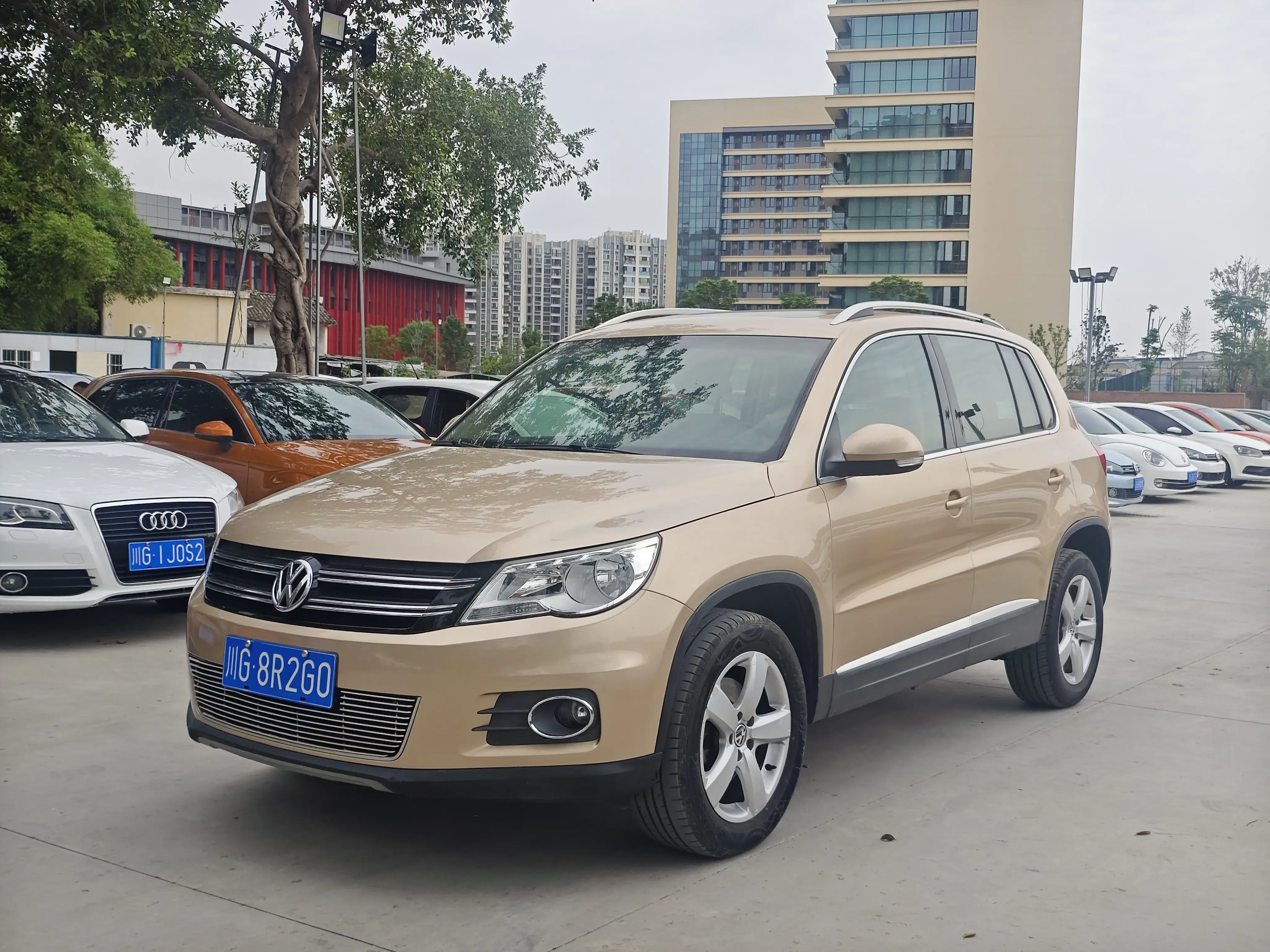 Volkswagen Tiguan (Tharu)