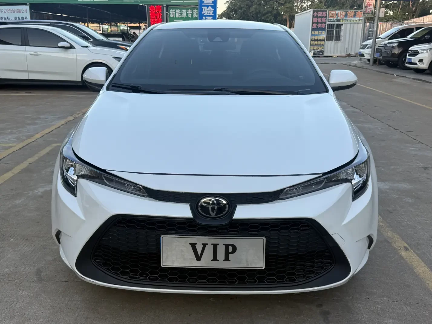 Toyota Levin