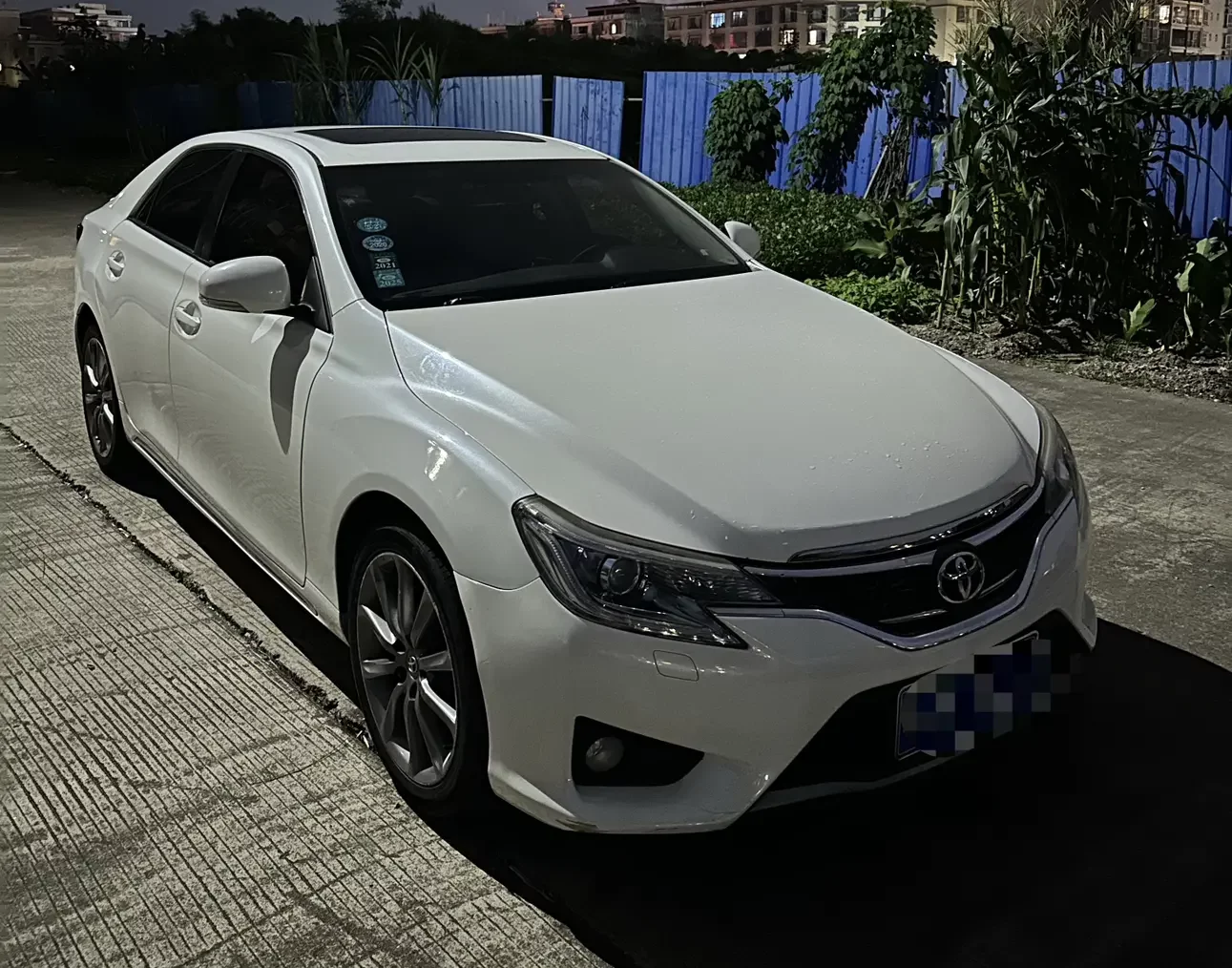 Toyota Ruizhi