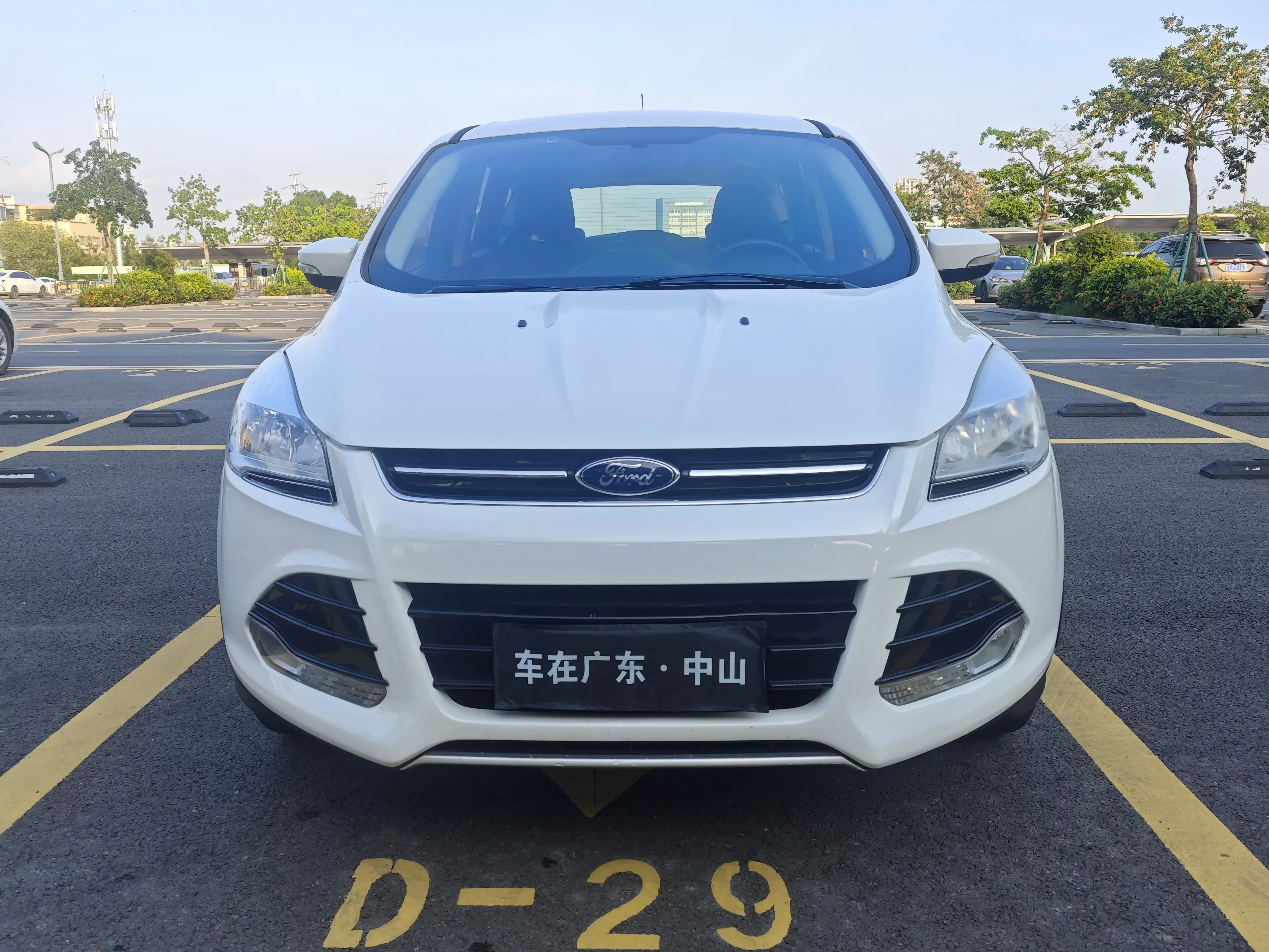 Ford wing tiger