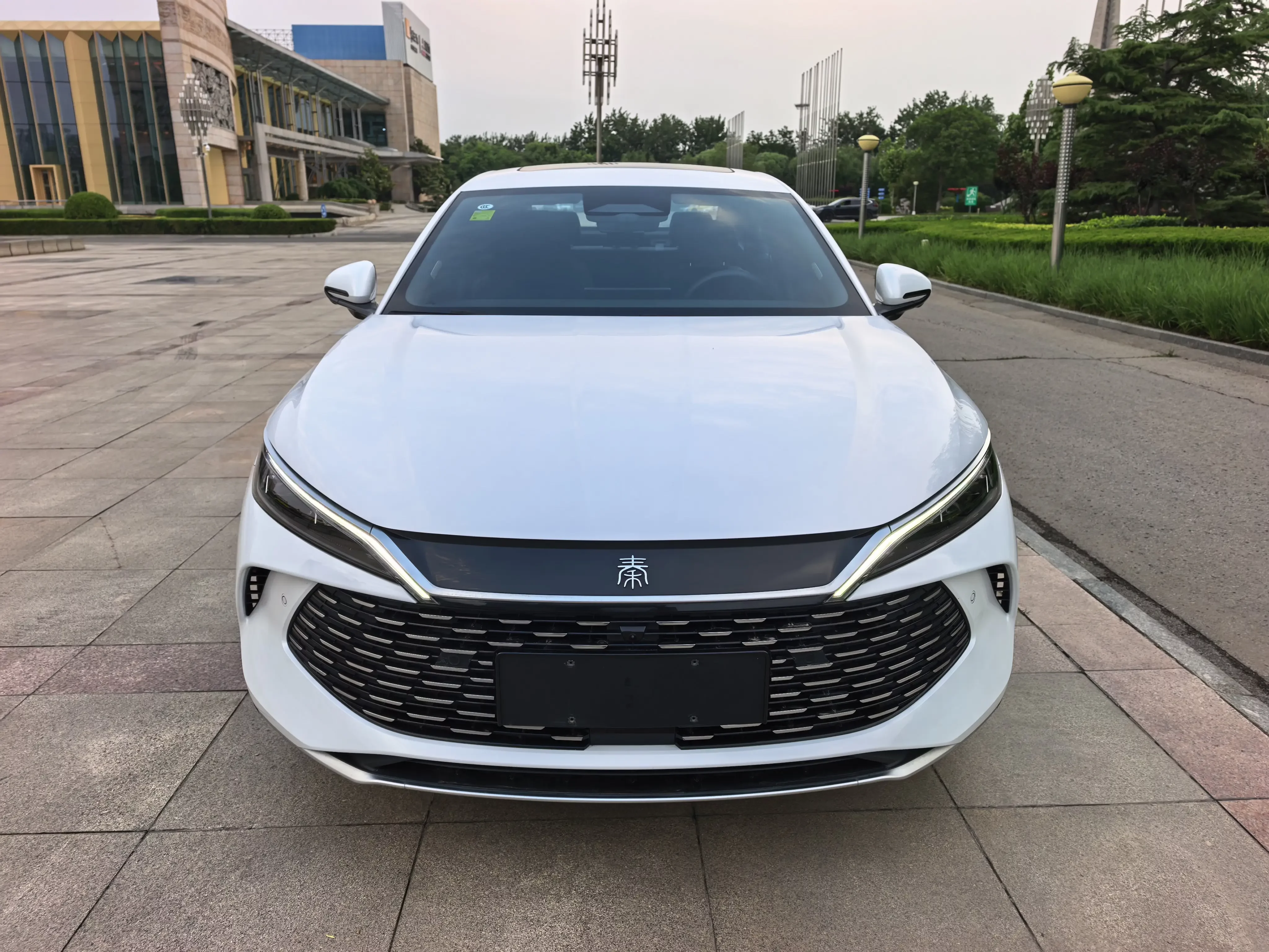 BYD Qin L DM