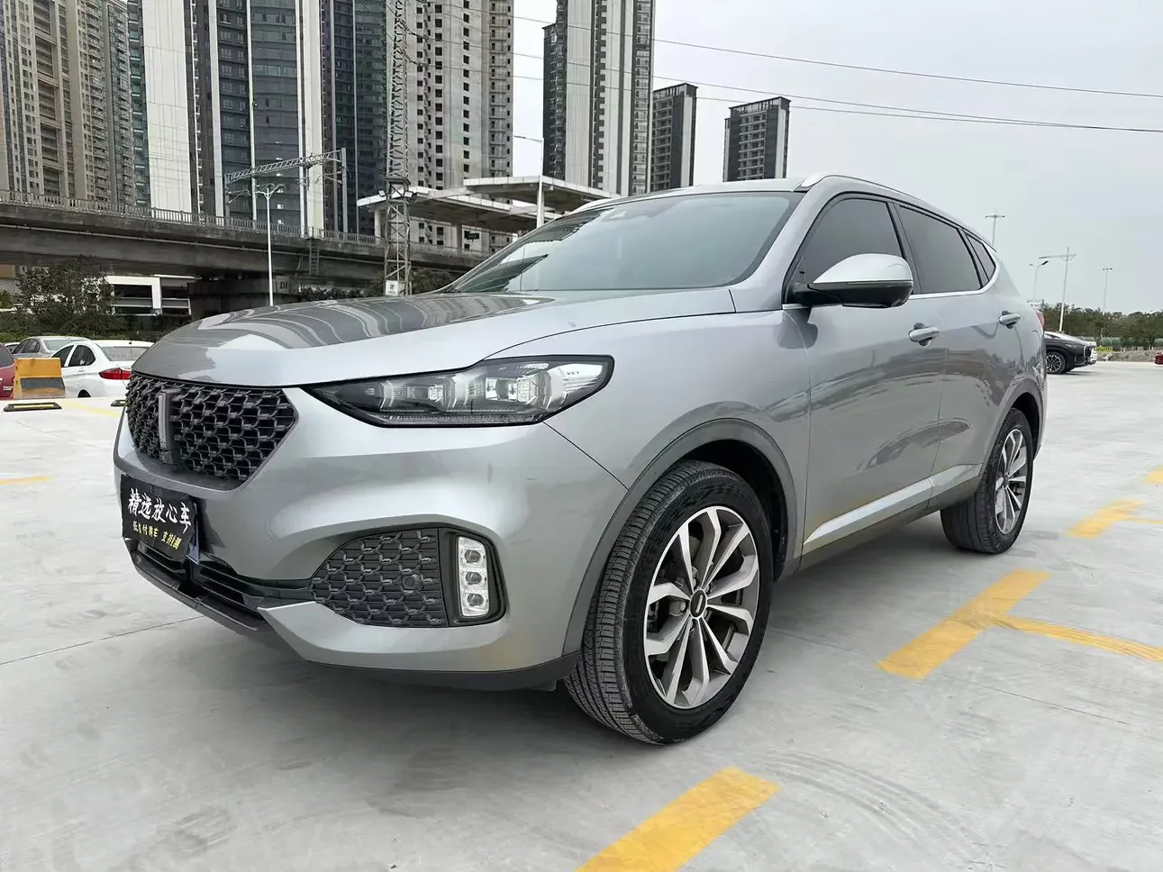 Wey Wei brand VV6