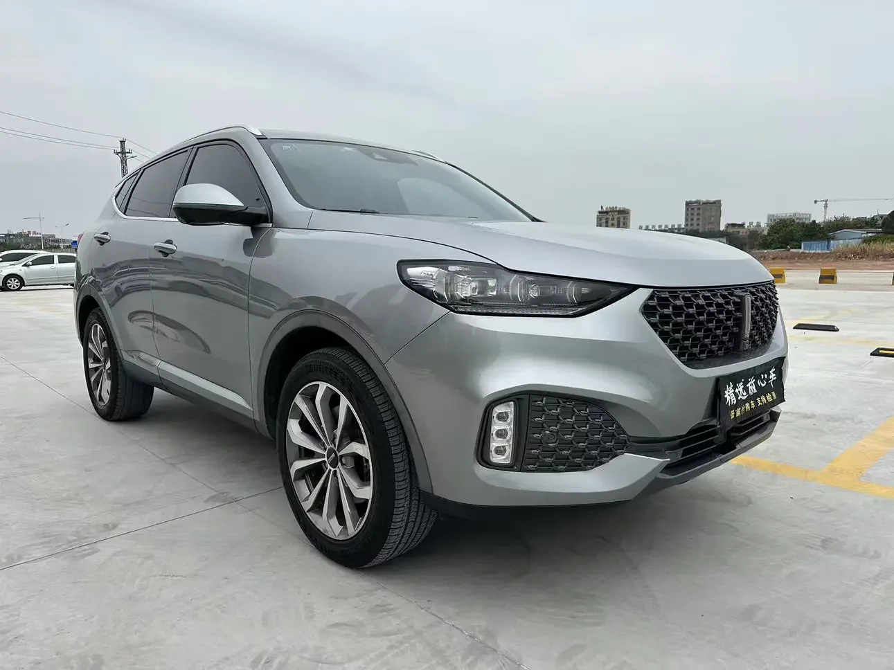 Wey Wei brand VV6