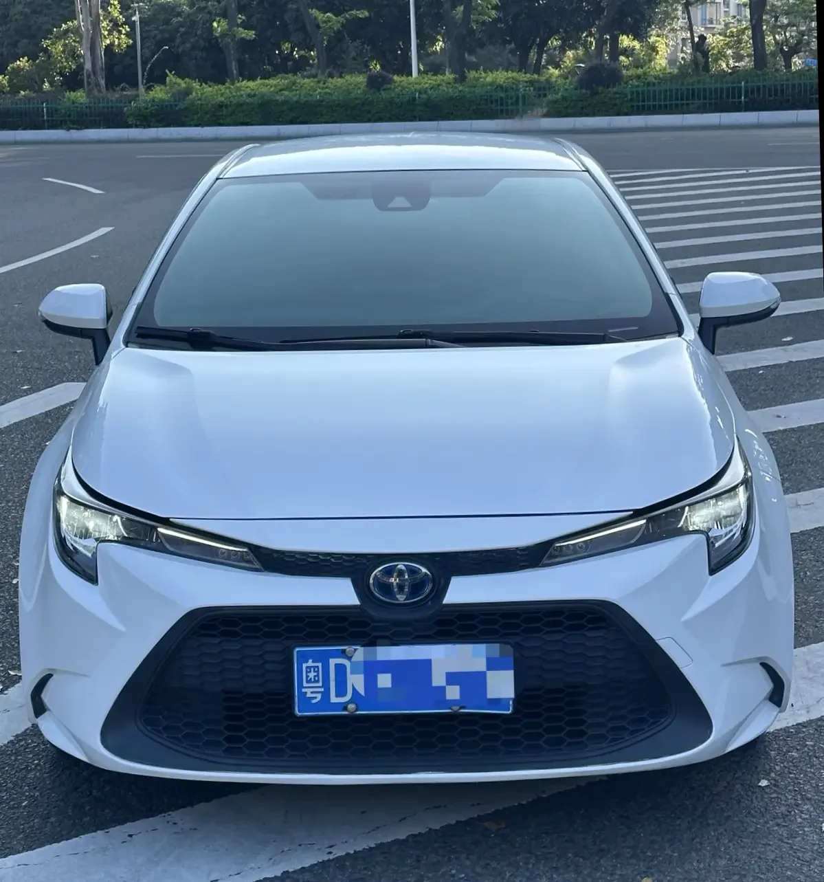 Toyota Levin