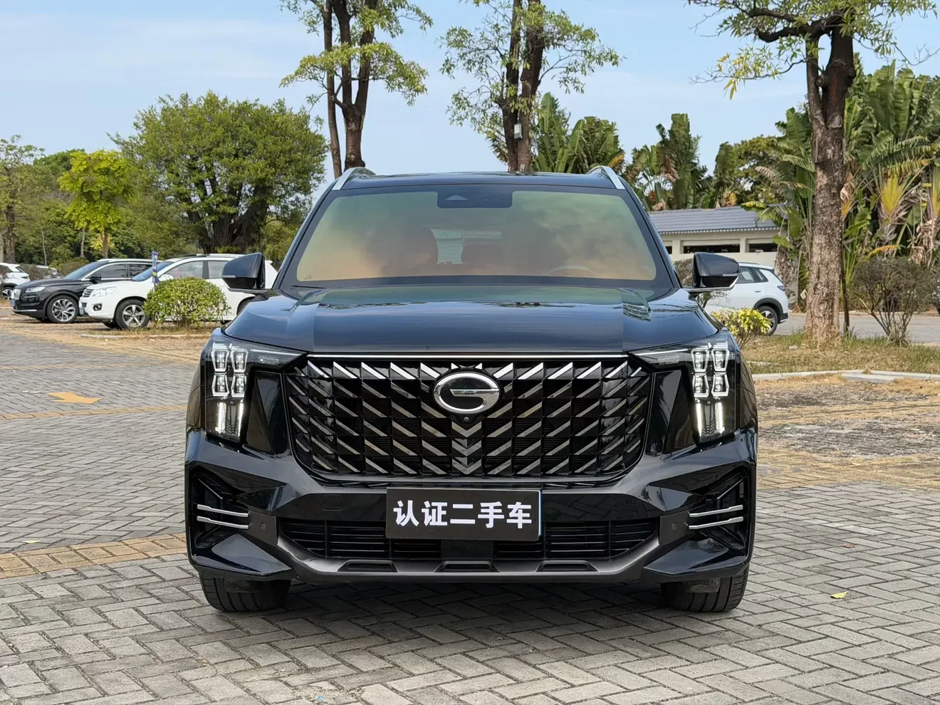 GAC Trumpchi GS8