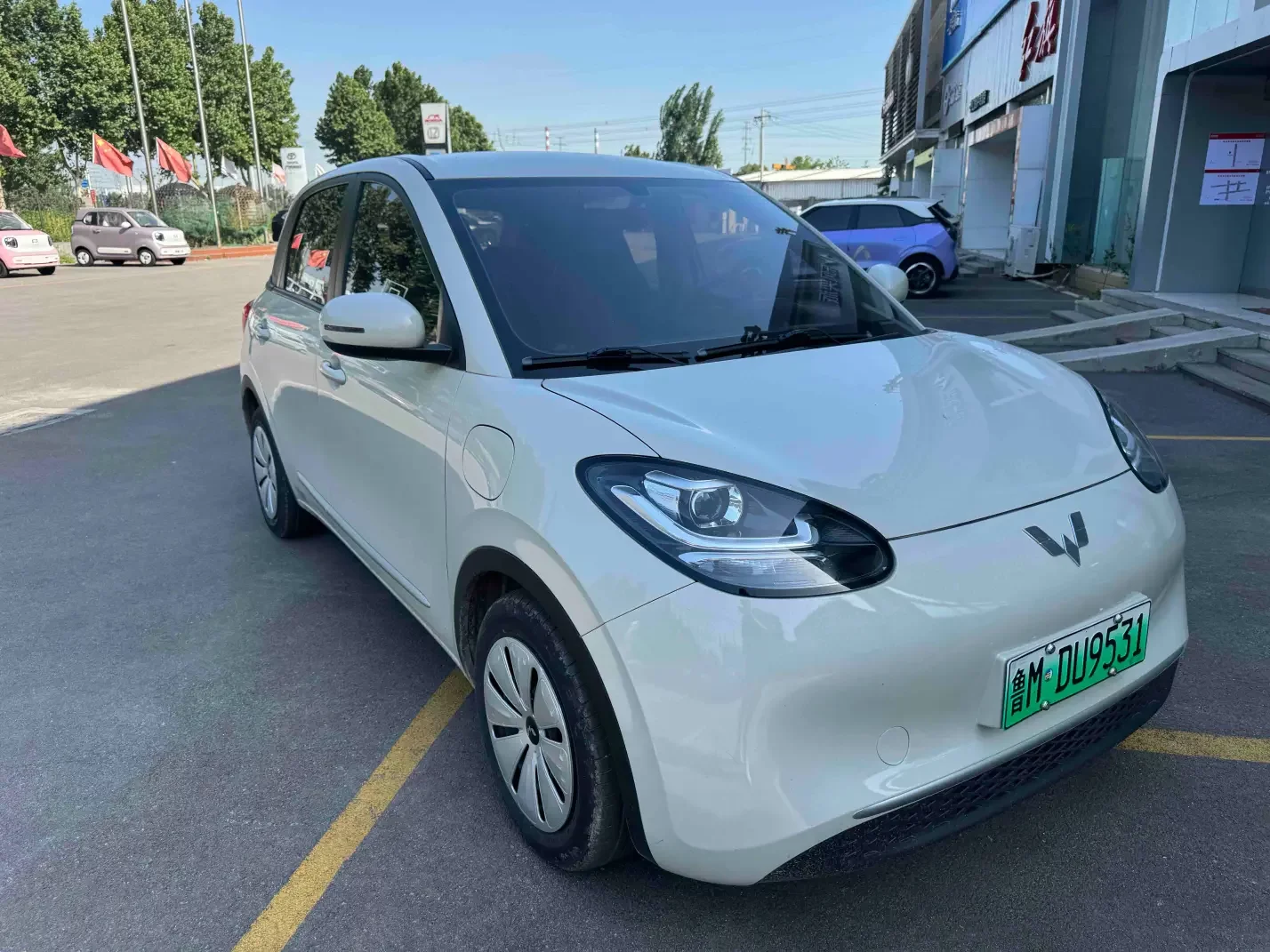 Wuling Bingo